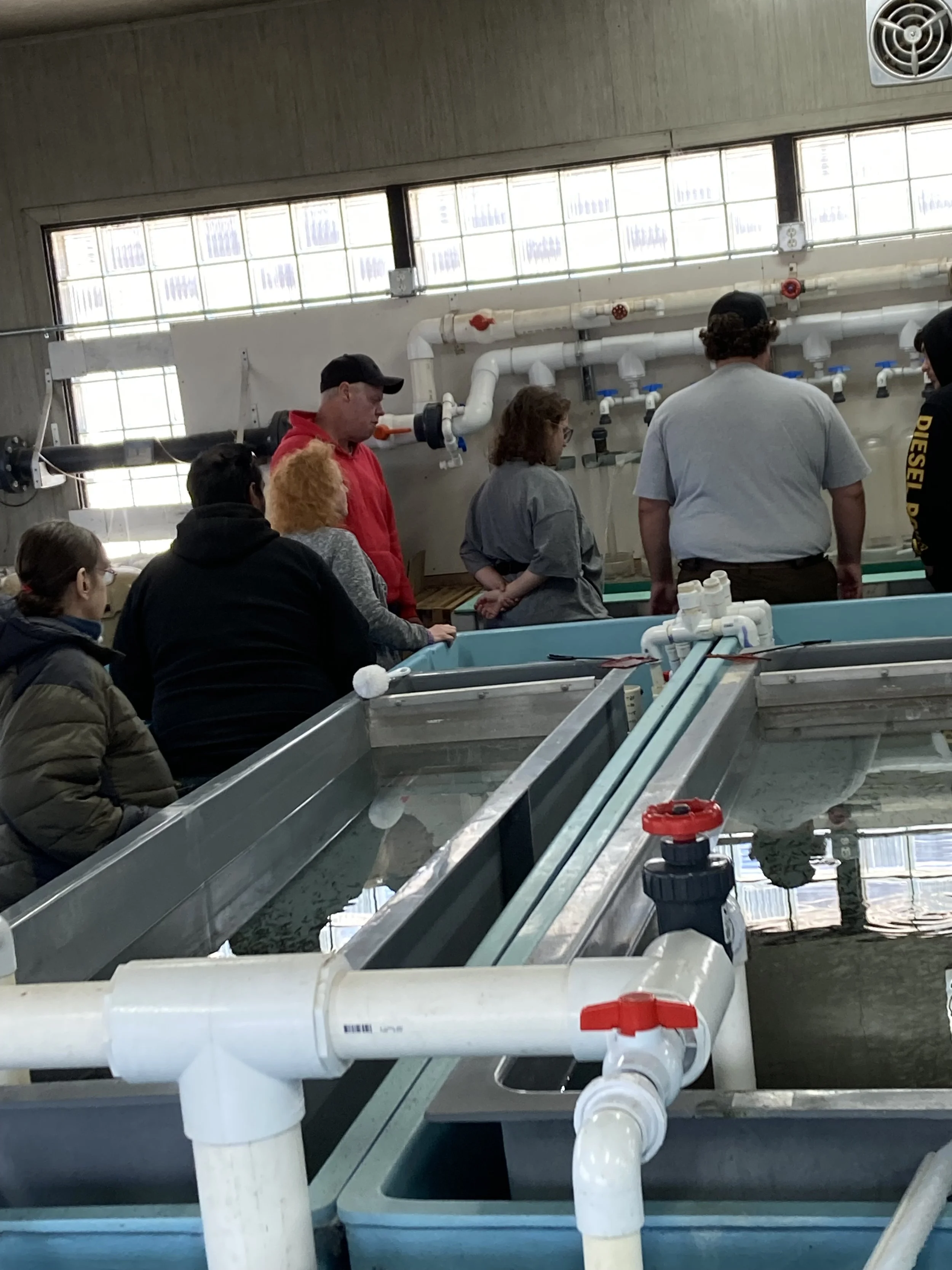 Fish Hatchery 9.jpeg