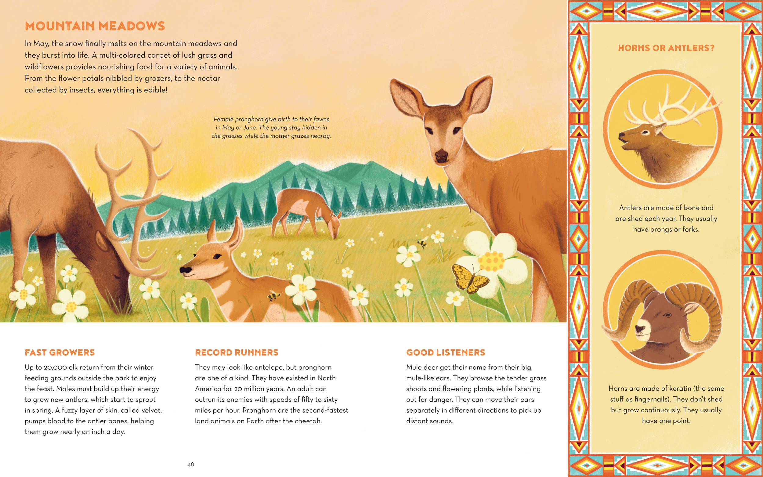 Yellowstone_HR_Page_25 1.png