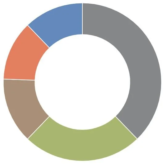 A Scale Choice Pie Chart