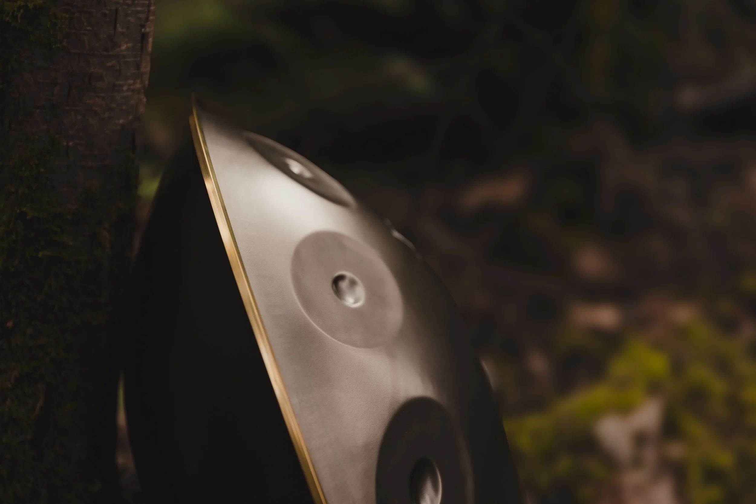 Pygmy - Across the Decades