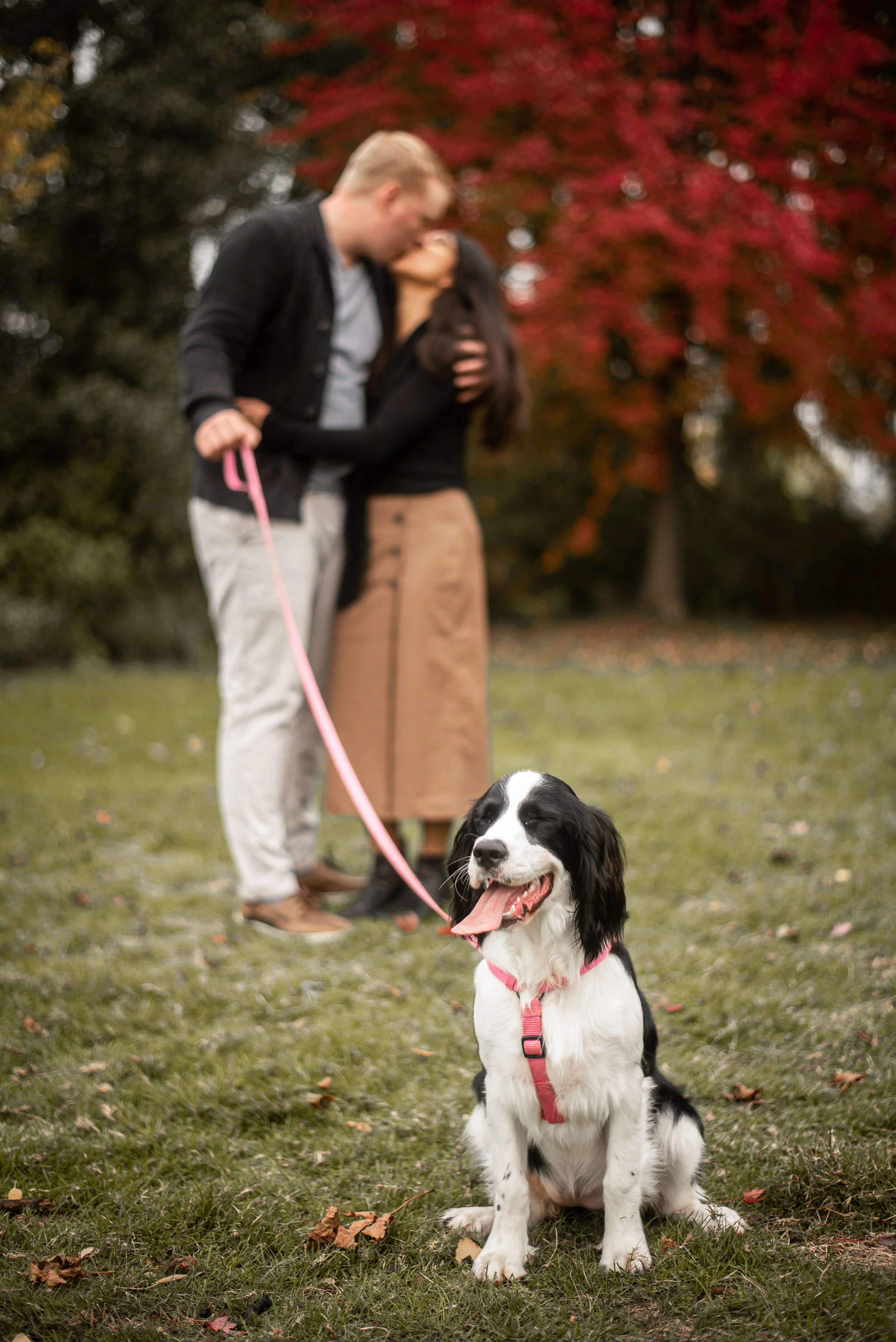 Mississauga Wedding Photographer