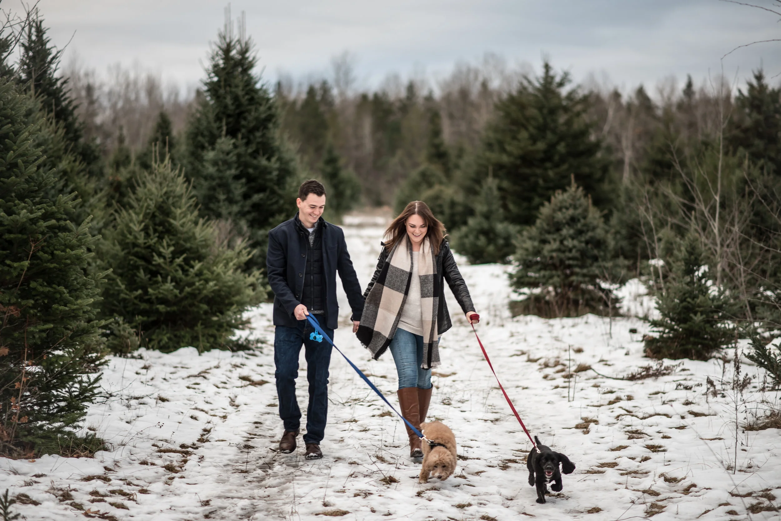 Drysdale's Tree Farm Wedding — Jenifer Boyce Photography Hamilton