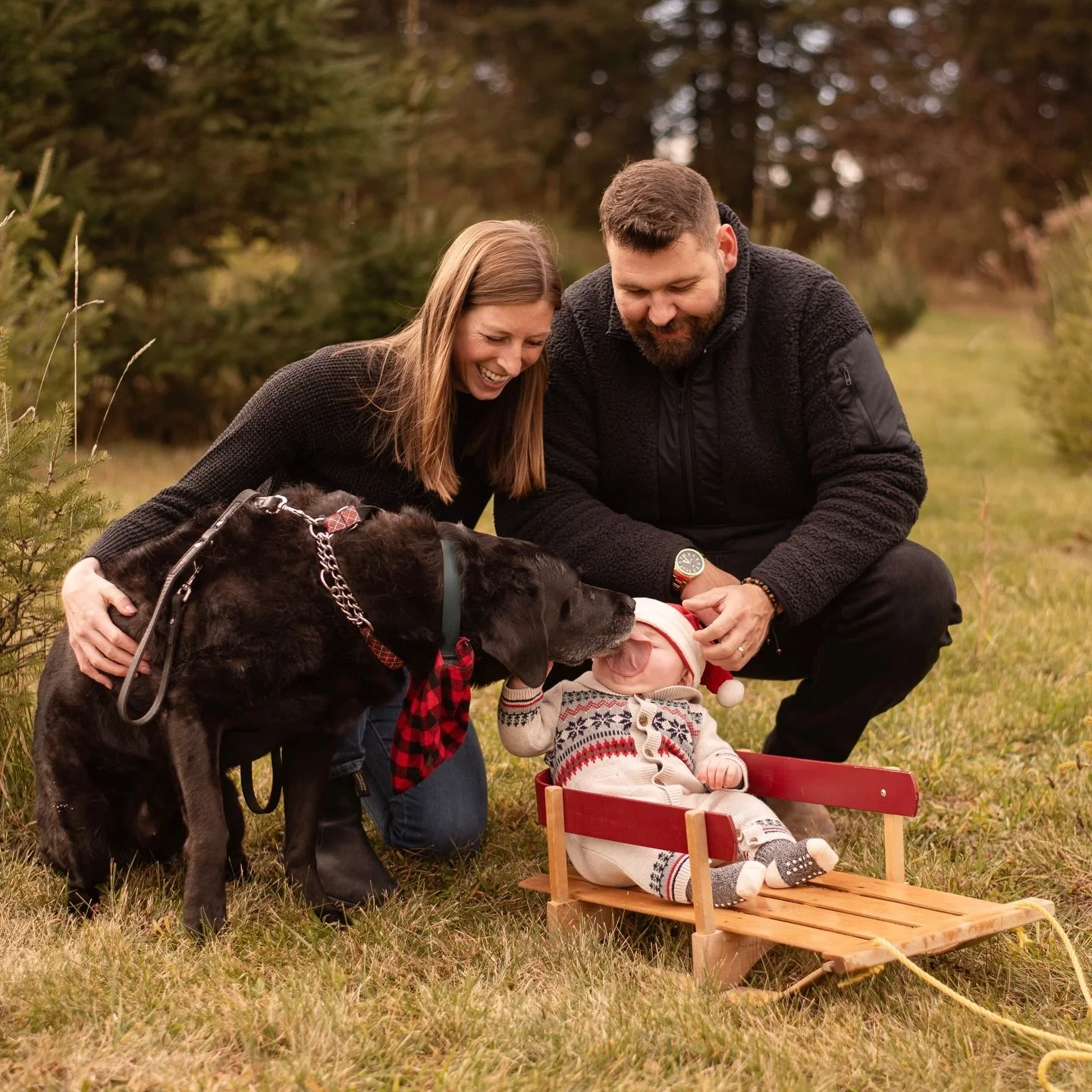 I am just over halfway through editing last weekend&rsquo;s minis! And I have to give a huge thank you to my 11 families that made it out in the cold (and sometimes rainy) weather to prance around the tree farm with me! It is one of my favourite part