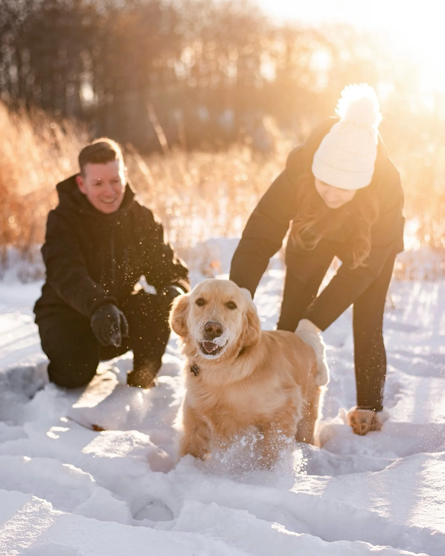 It was truly a winter wonderland today with these three 🐾 The golden hour was on 🔥 and we got everything we needed in 20 minutes before we all ended up icicles ❄️ Gadget&rsquo;s first photoshoot!