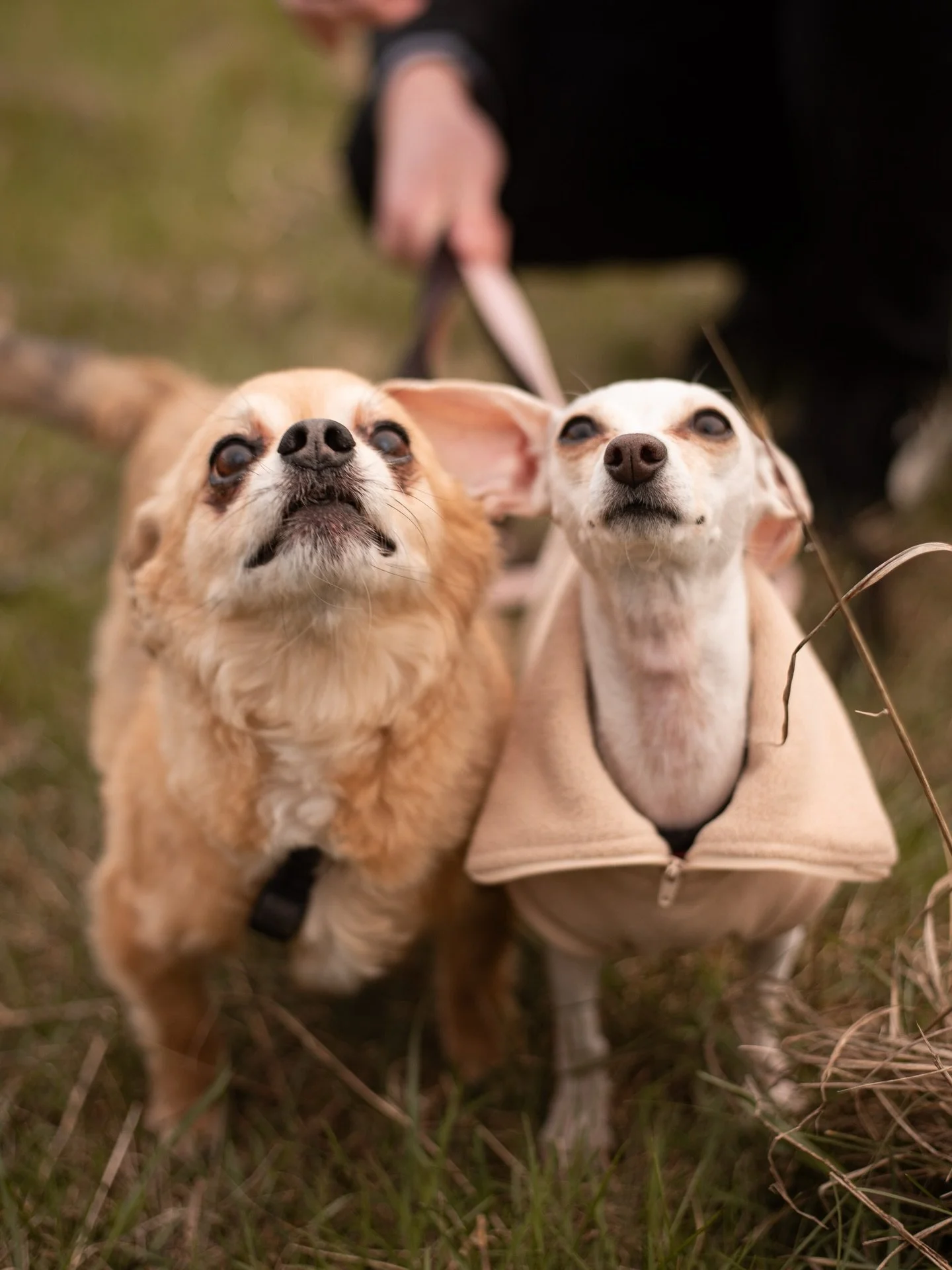 My beauteous 2025 Photo of the Year Contest winners had their prize session tonight - and good ol&rsquo; Mother Nature gave us the perfect window of weather between snow, sun, rain and hail 😂 Thank you J+C for now weathering every season with me! It