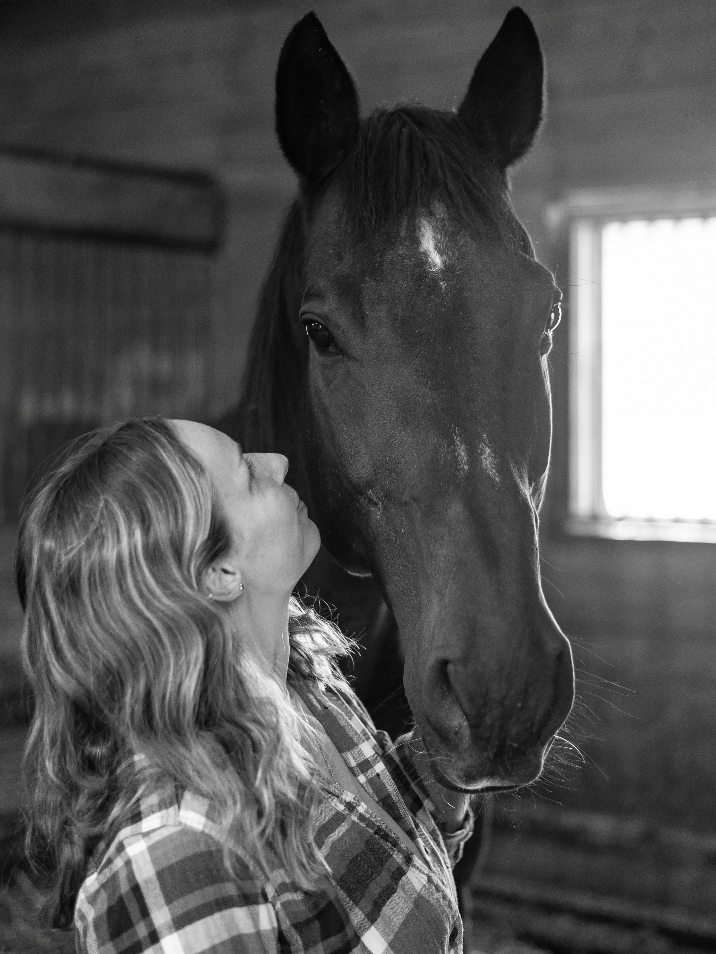I&rsquo;m a big supporter of having photos with ALL of your babies 💕 Thanks to my longtime pal for inviting the whole fam to the barn for a picnic while we snapped these precious pics 🐴