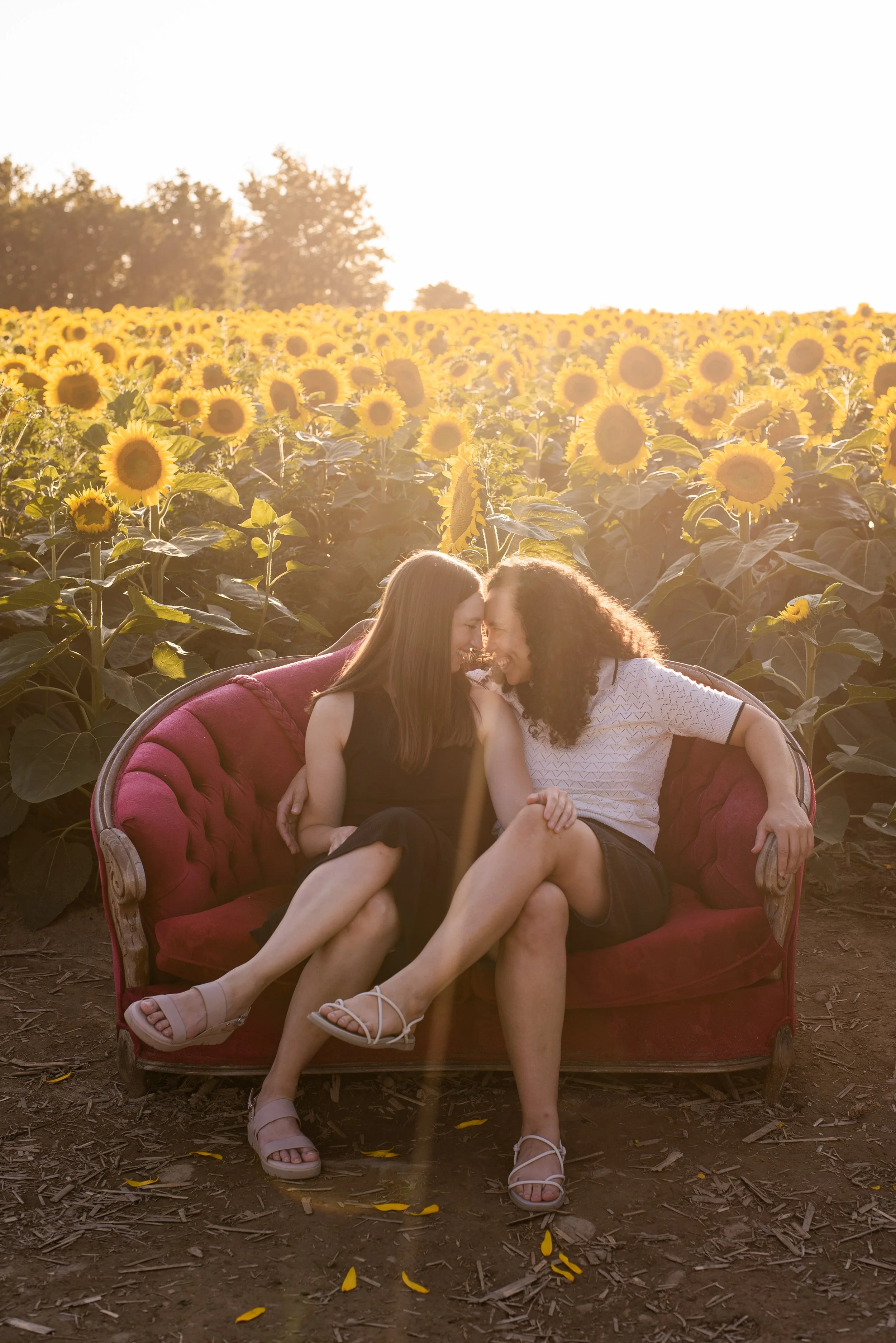 MeganGwenaSunflower95.jpg