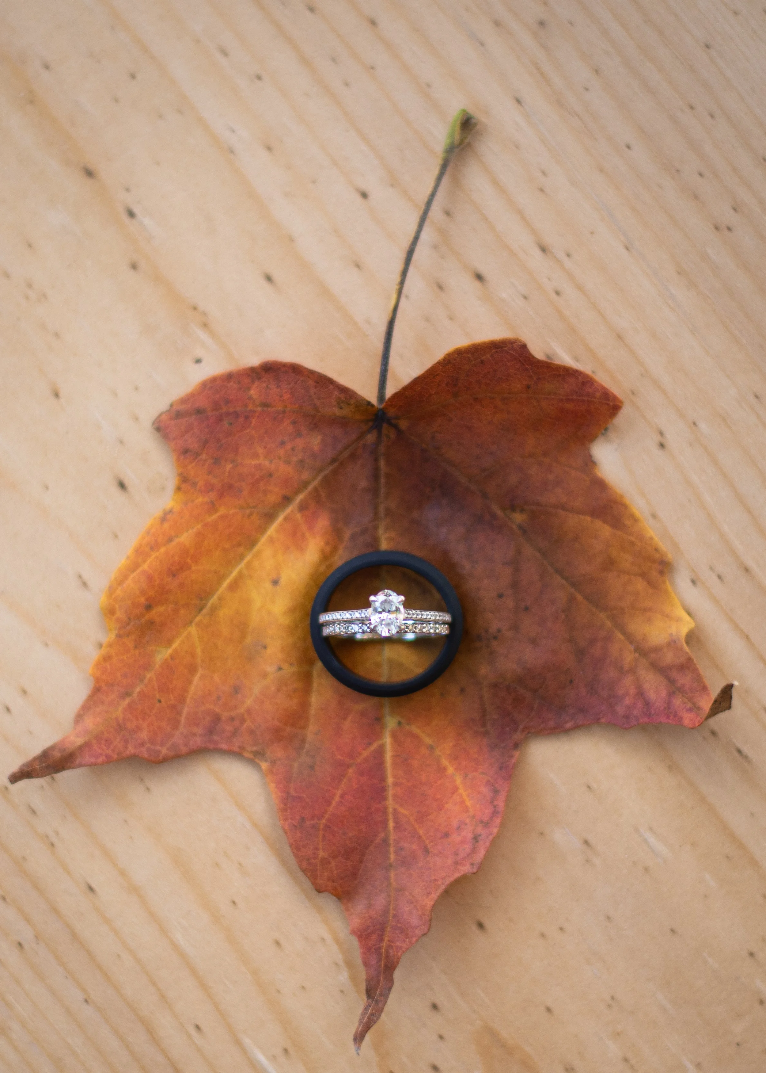 Toronto Wedding Photographer