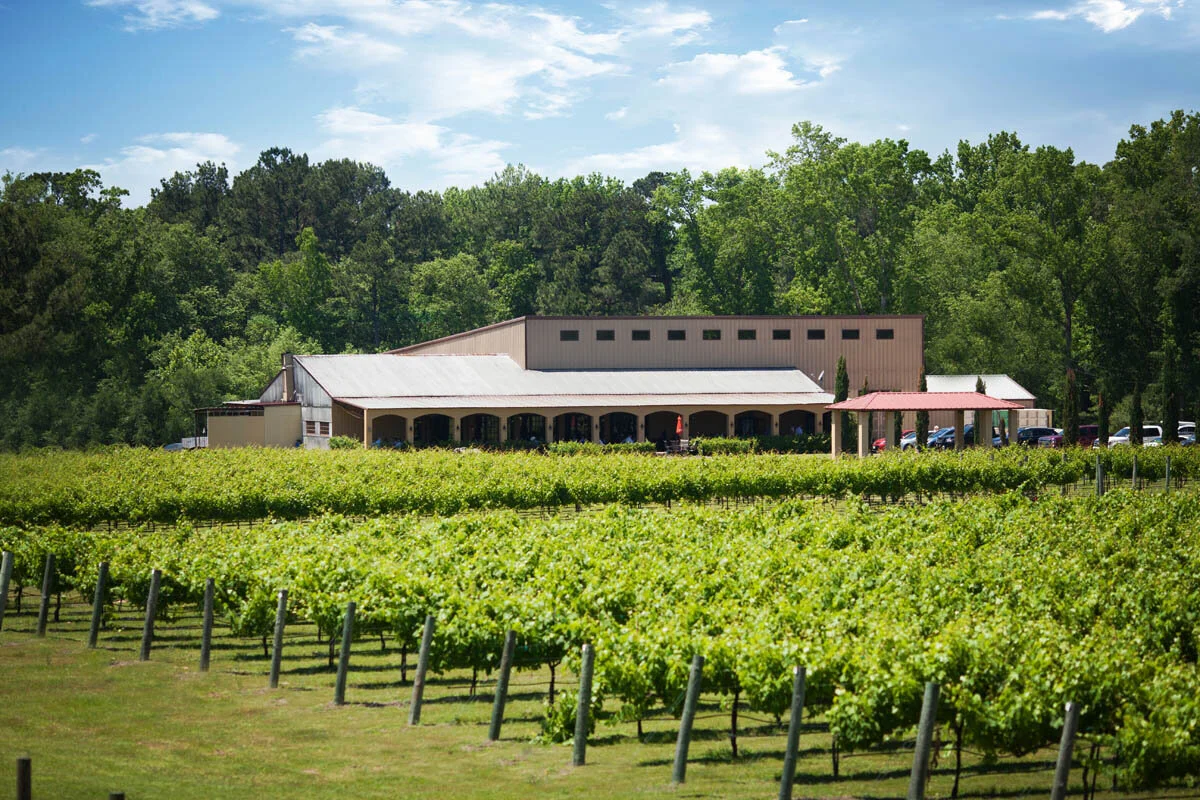 DE LOS PINOS RANCH VINEYARDS   Tour lush vineyards and enjoy the taste of East Texas’ finest wine.  Located 23 miles from The Cove.    Visit Website »
