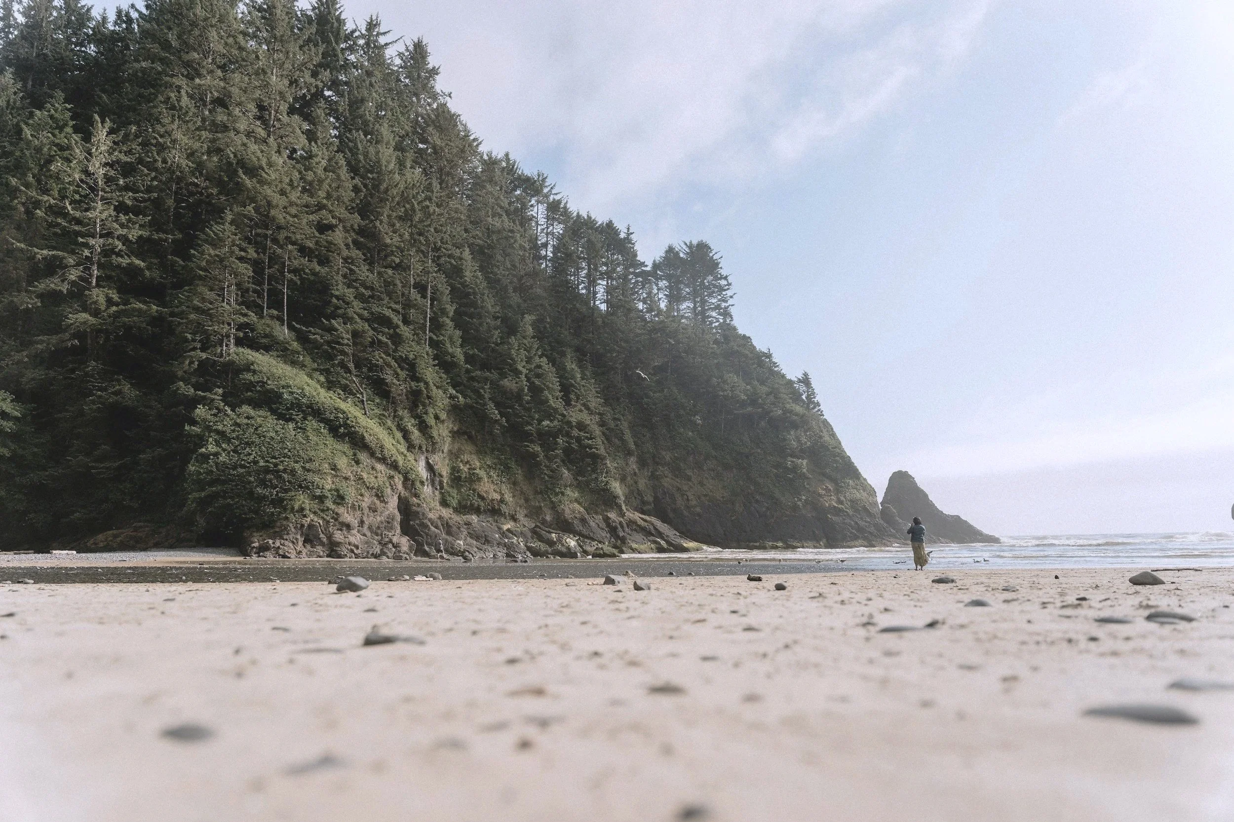 A beach with a person standing near the water, large cliffs covered with trees on the left side, cloudy sky, and rocks on the sandy shore.