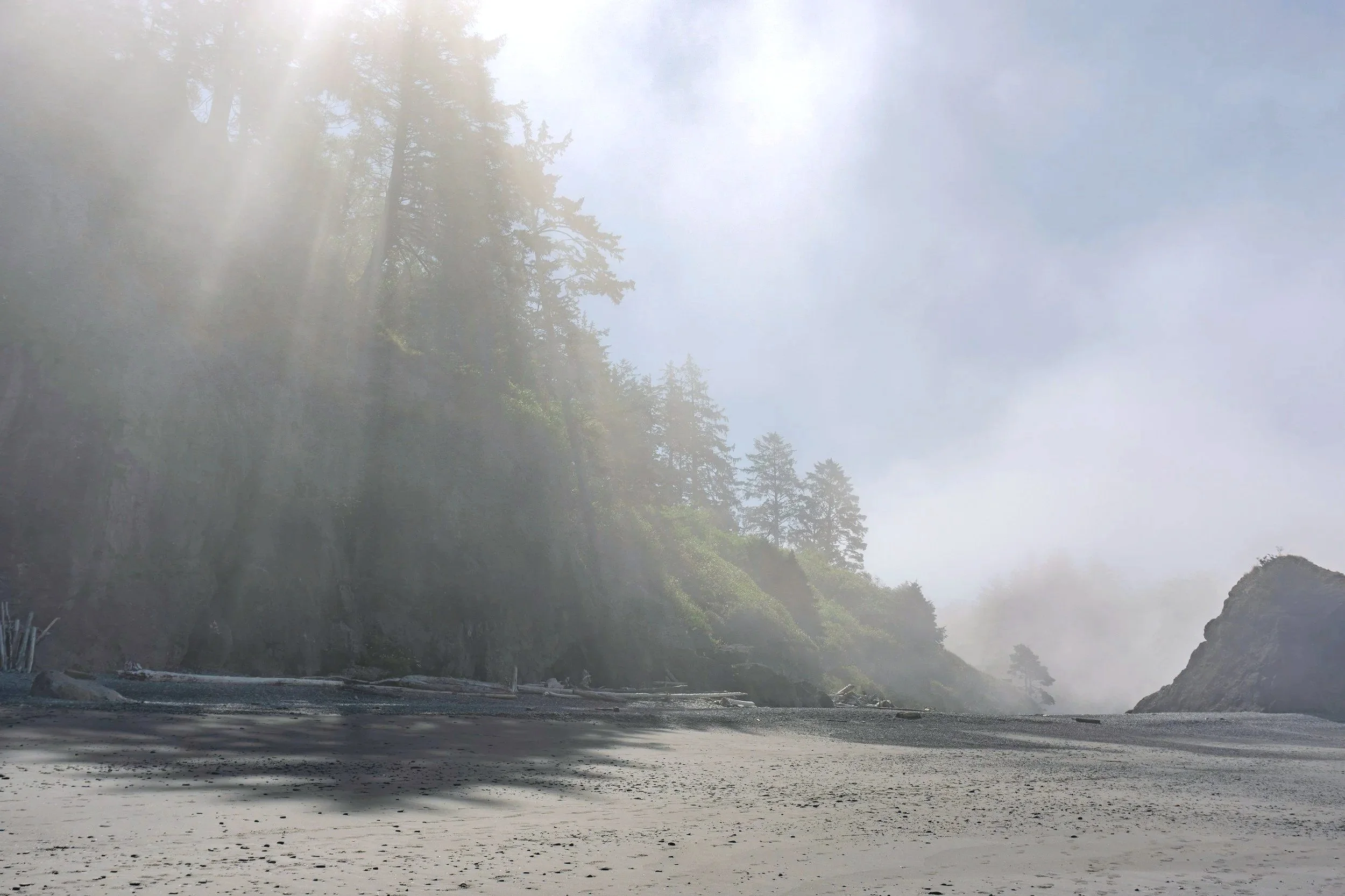 A foggy lakeside scene with trees on a hill and a rocky shore, with sunlight filtering through the fog.