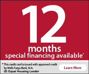Red background with large white '12' and smaller 'months' and 'special financing available' text, along with Wells Fargo and Equal Housing Lender logos.