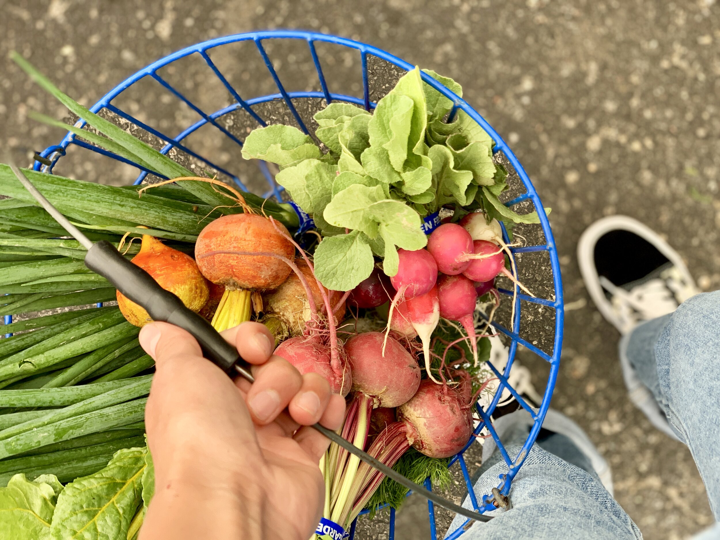 My Anti-Inflammatory Grocery List