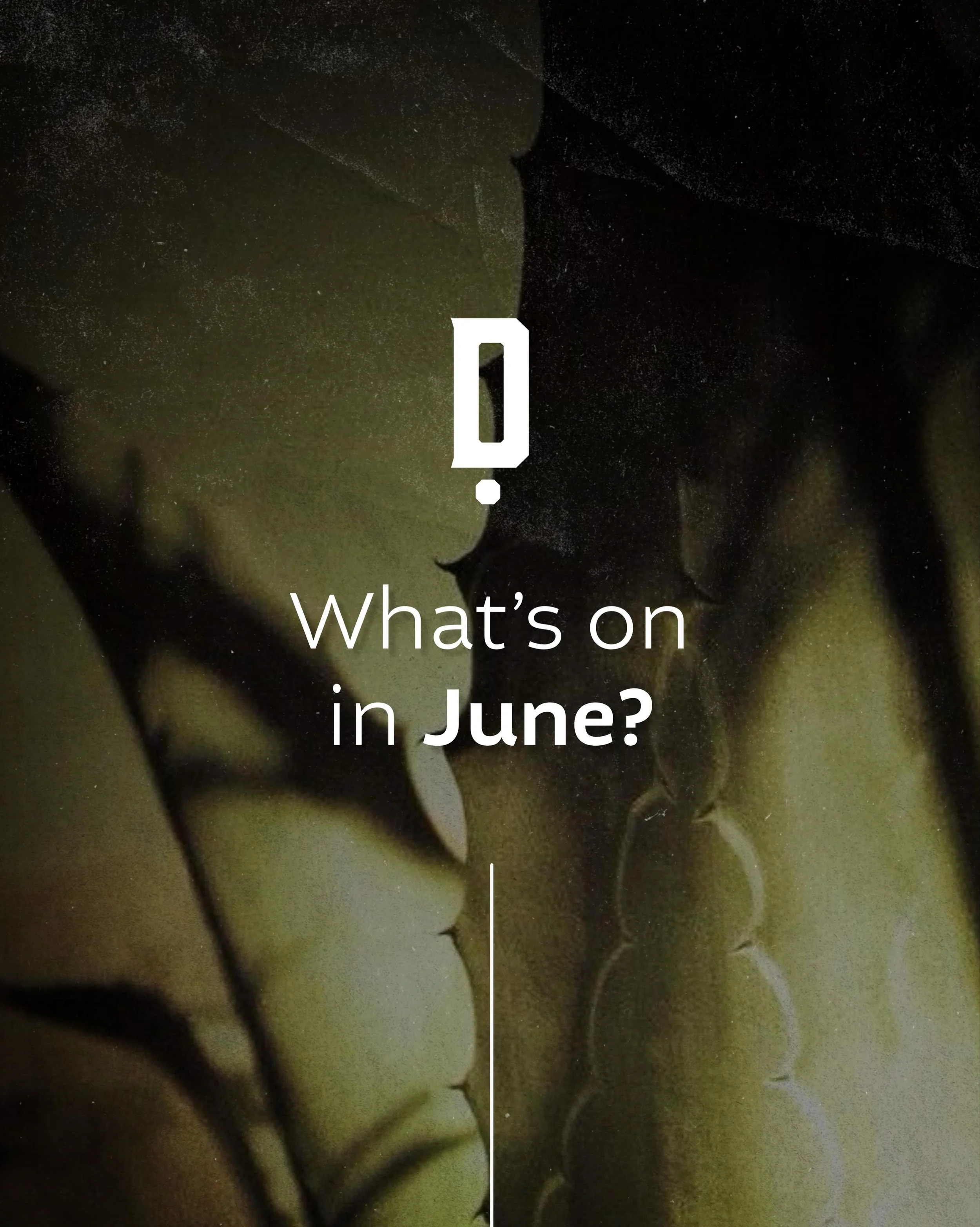 A season of experiences at dLe&ntilde;a celebrating pride, culture, and the diverse stories that shape America&rsquo;s dining landscape.

From vibrant brunches to curated dining moments, join us in honoring community, connection, and the spirit of Wa
