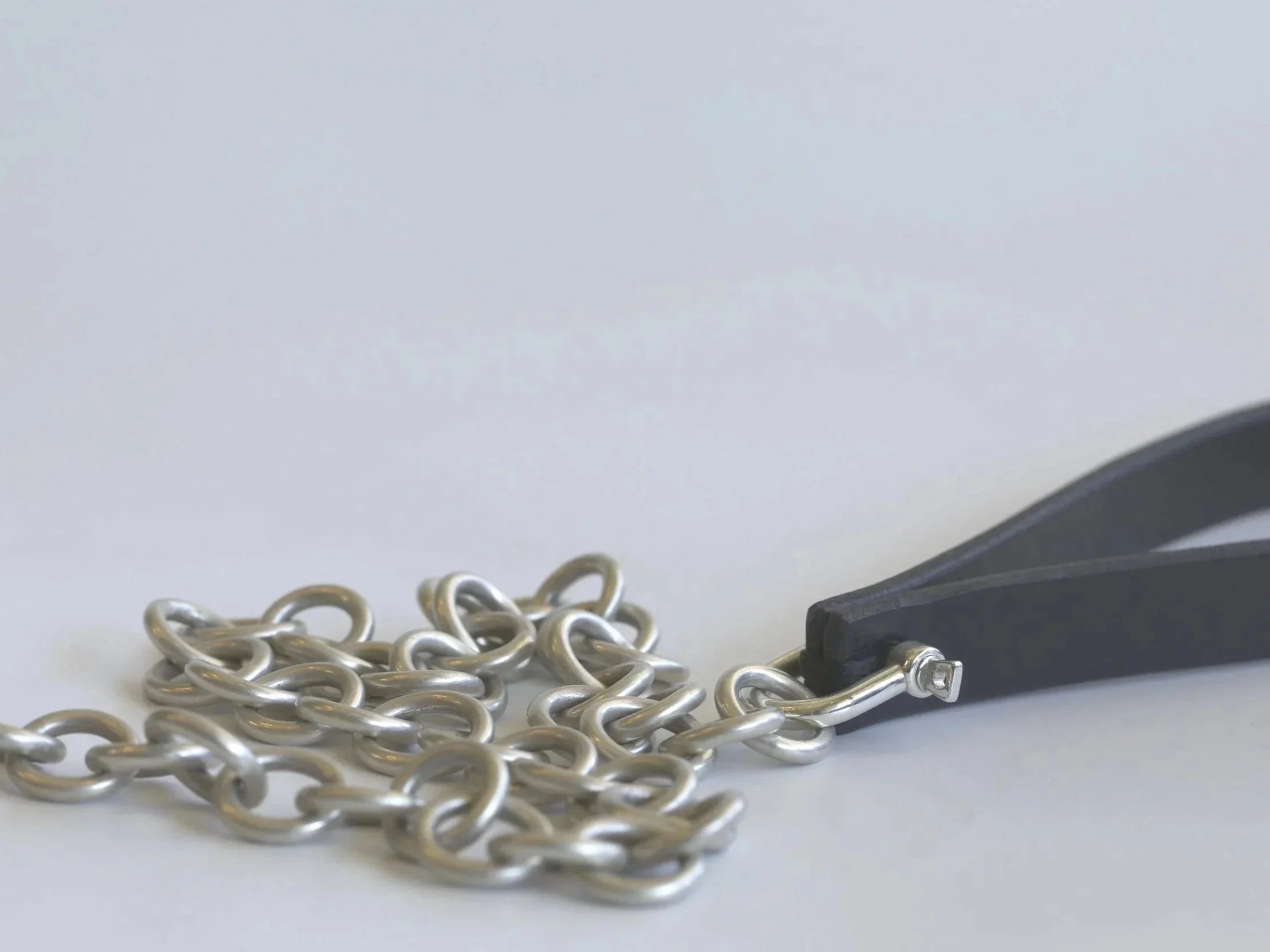 LEASH%252BAND%252BCHAIN.jpg