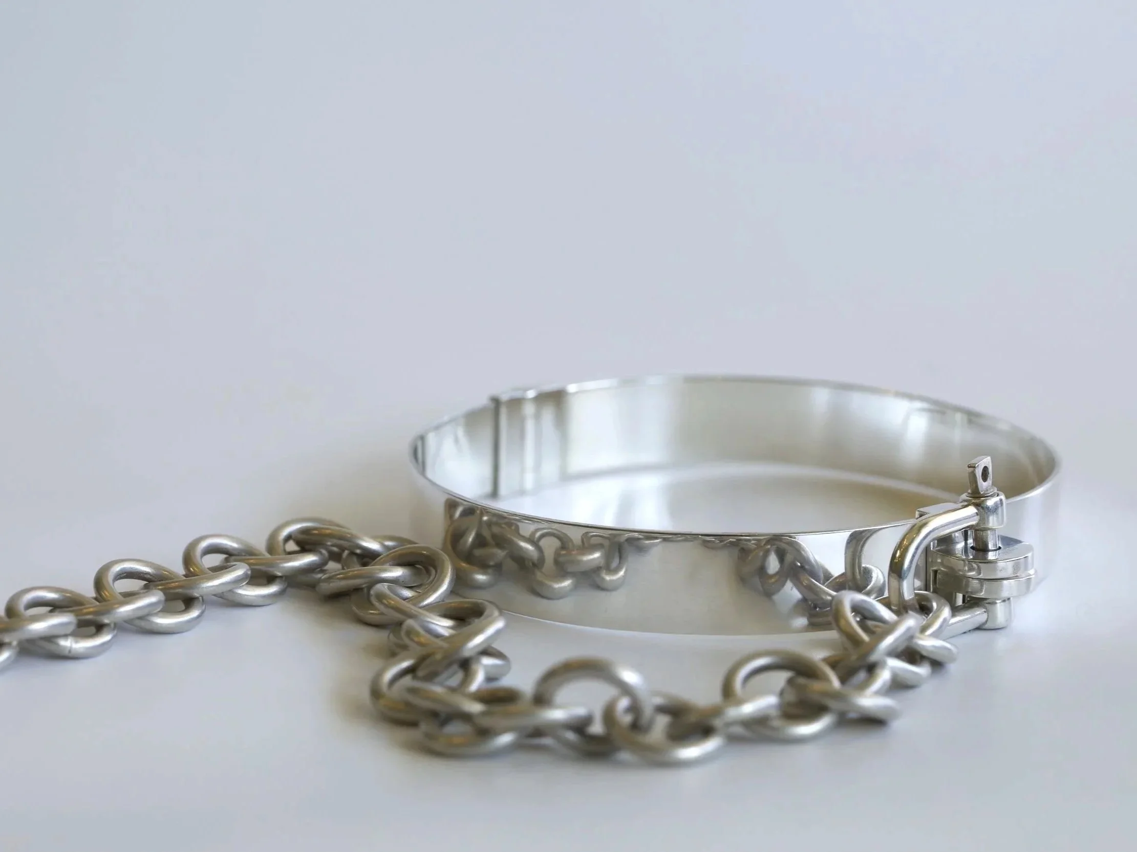 COLLAR%2BAND%2BRELECT%2Bcopy.jpg