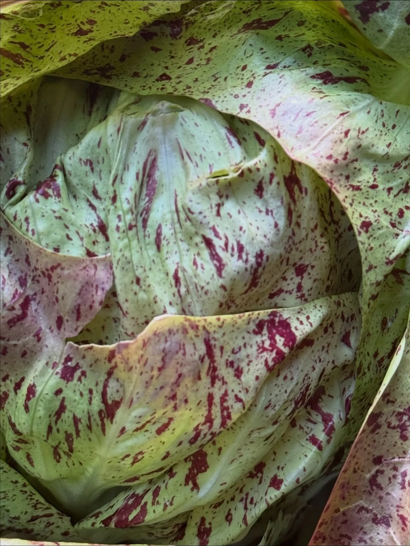 Keeping it light. 

Stop in and do the same 🔅