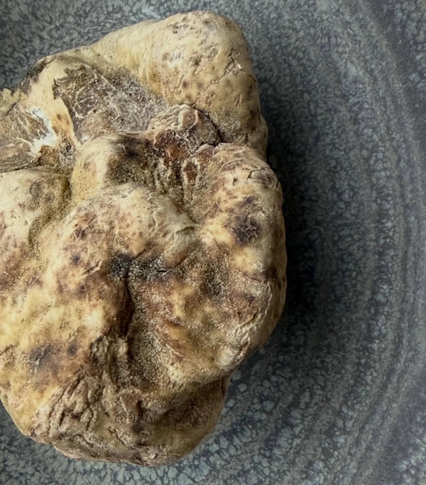 Guess what&rsquo;s starting tonight? 

#whitetruffle #barbaresco #stoneburnerseattle