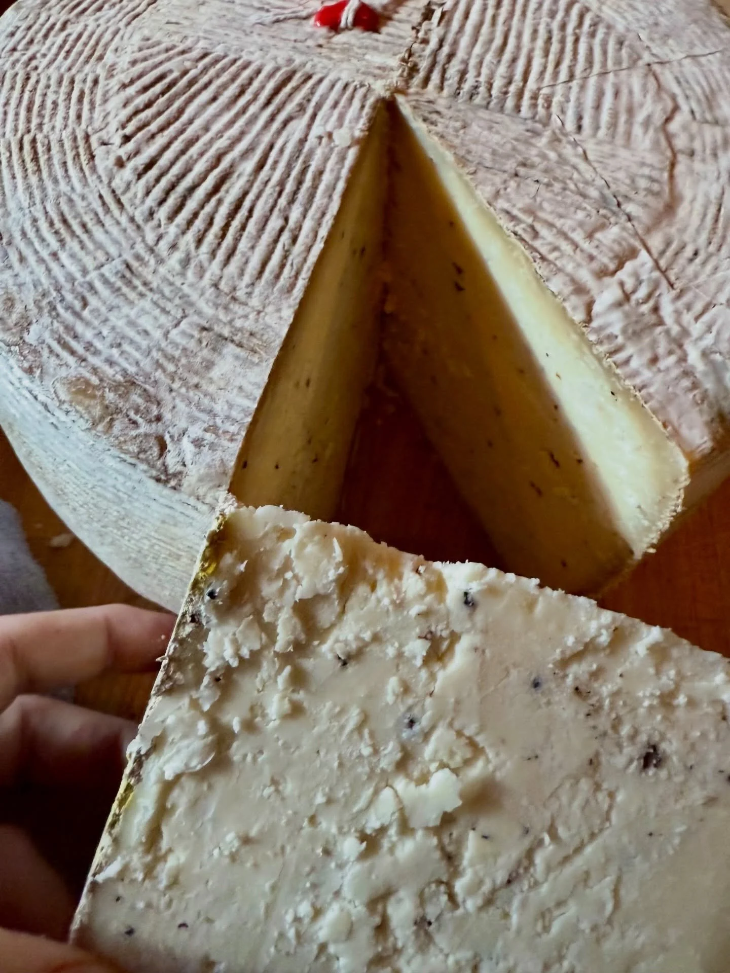 Here with the goods, the hospitality, and a few new pours. Stop in if you&rsquo;re in Ballard this weekend! Reservations are nice, but never required. 

REMINDER: We will be closed on Sunday #gohawks