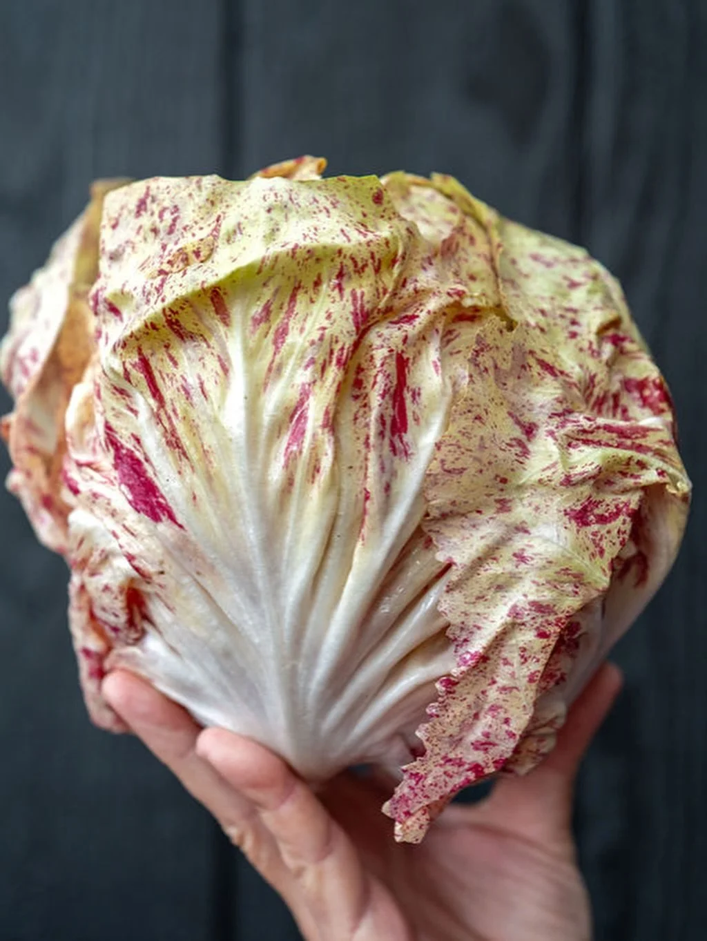 Gearing up for a lovely weekend of formulae faces and new visitors. Our books are looking full, but remember our bar area is open for walk-ins! Stop in for a cocktail or a glass of bubbles if you&rsquo;re in the neighborhood 💕 Lots of glorious speci