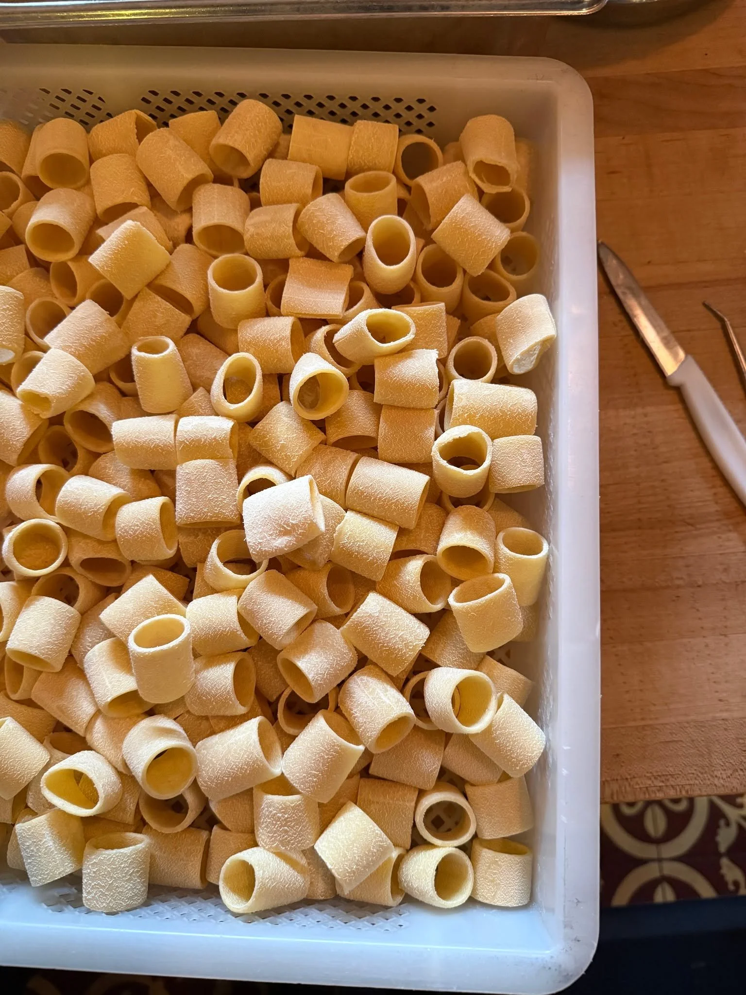 PACCHERI ... soon to be covered in fonduta.

#pastapasta #stoneburnerseattle #eatthepasta #forthetable