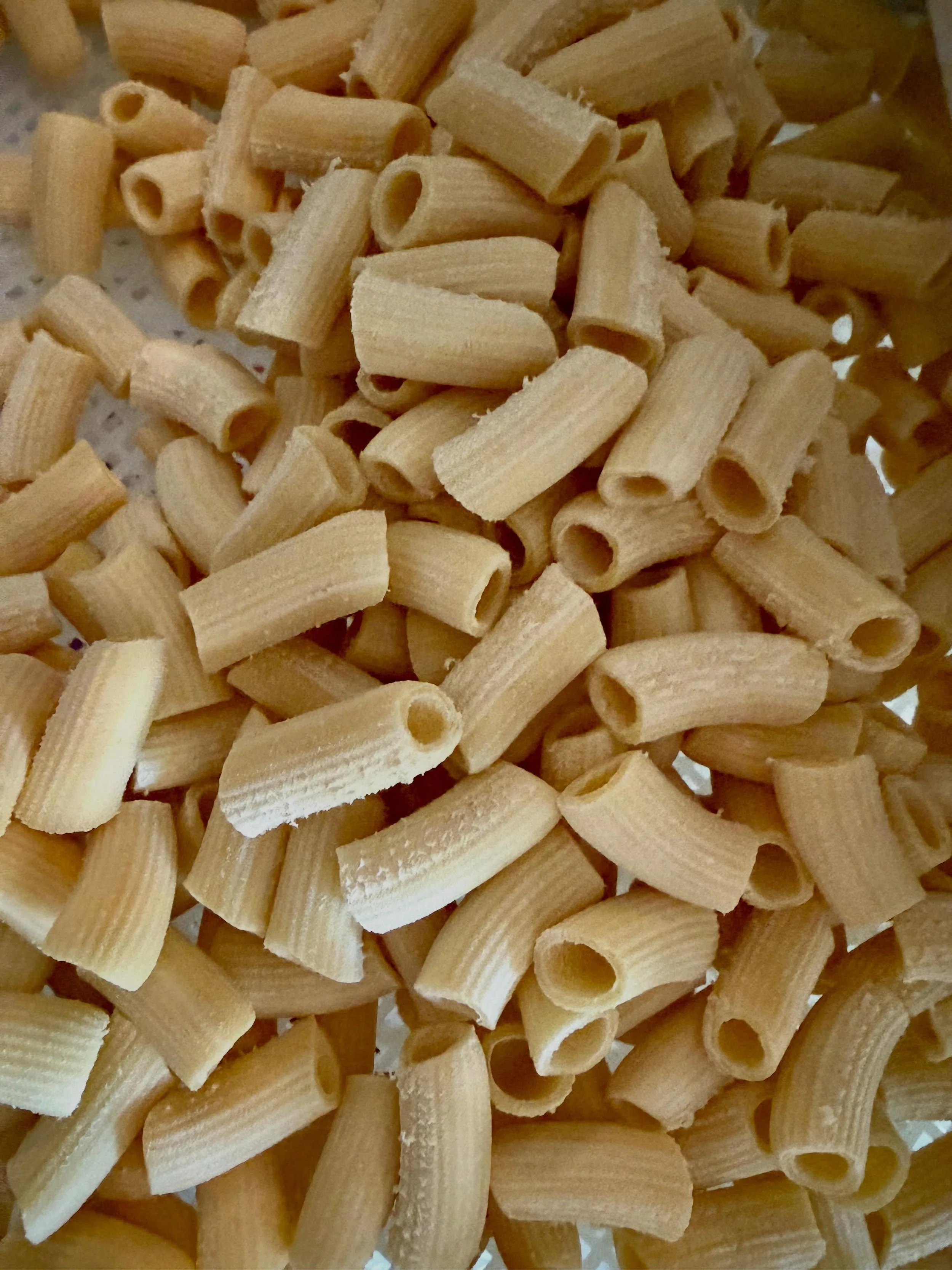 (( RIGATONI trance induced )) Come visit tonight &amp; see the Ballard High School Brass &amp; Jazz bands from 5 pm to 8 pm. They&rsquo;ll be playing in the street (ish). 20% of proceeds from the evening will be donated to help support the music prog