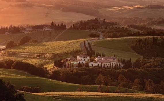 Caparzo Brunello di Montalcino 2019 bottle at Stoneburner, Ballard