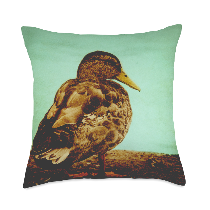 duck shaped pillow