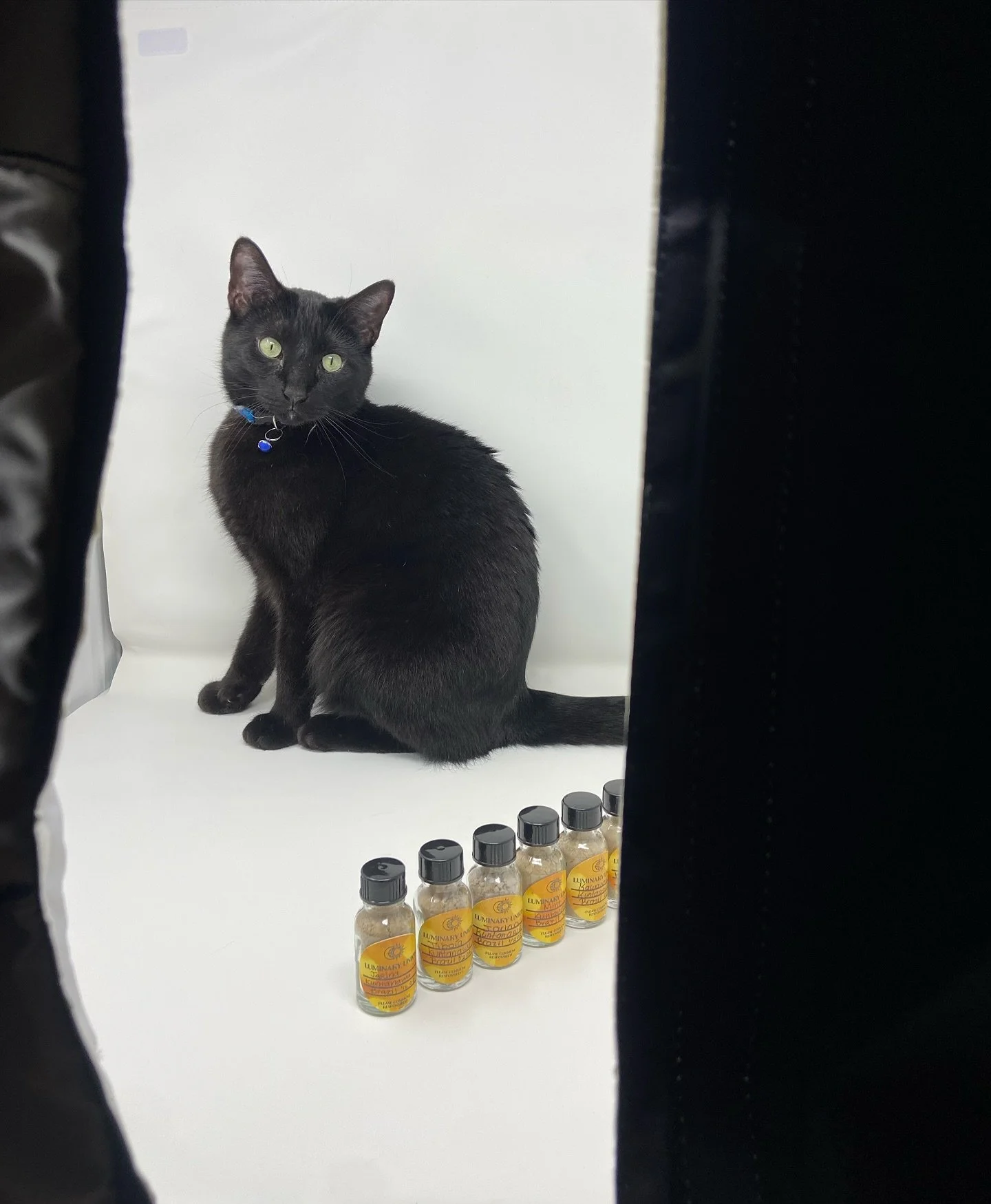 Feline oracle Bastet here wants to let you know that our Hap&eacute; has been restocked 🐈&zwj;⬛☺️✨

ICYMI, a fresh shipment of Hap&eacute; has arrived - new blends, handpicked (paw-approved) and ready to shift things up! 

𝓑𝓵𝓮𝓷𝓭  𝓛𝓲𝓼𝓽:
Femi