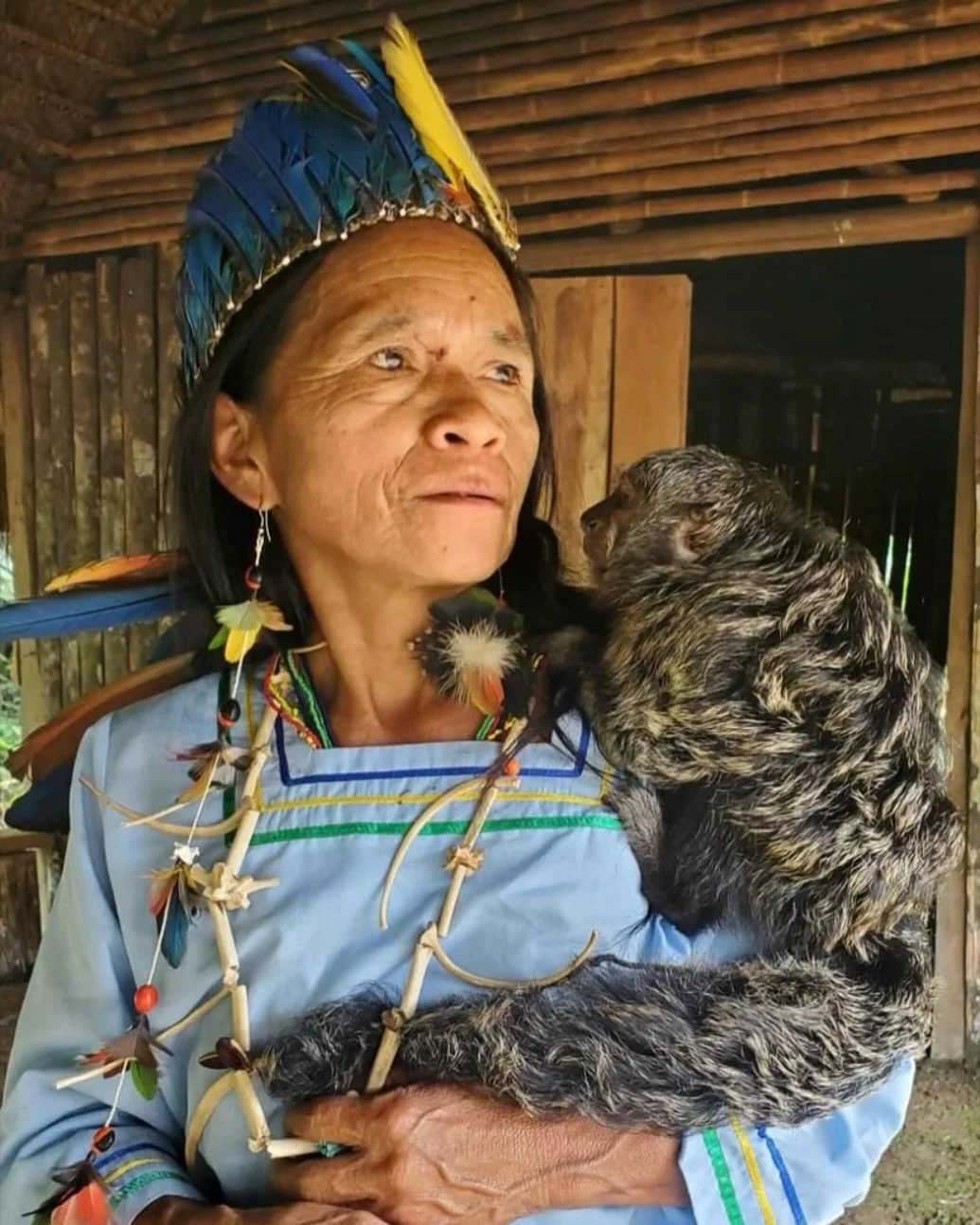 Meet Mama Marlene of the @sachawasi.official Kichwa tribe! 

Tribal Elder and medicine woman of the village, Mama Marlene Guatatuca Warmi Yachak has studied and worked with native medicinal plants for 45+ years to help her community and those that co