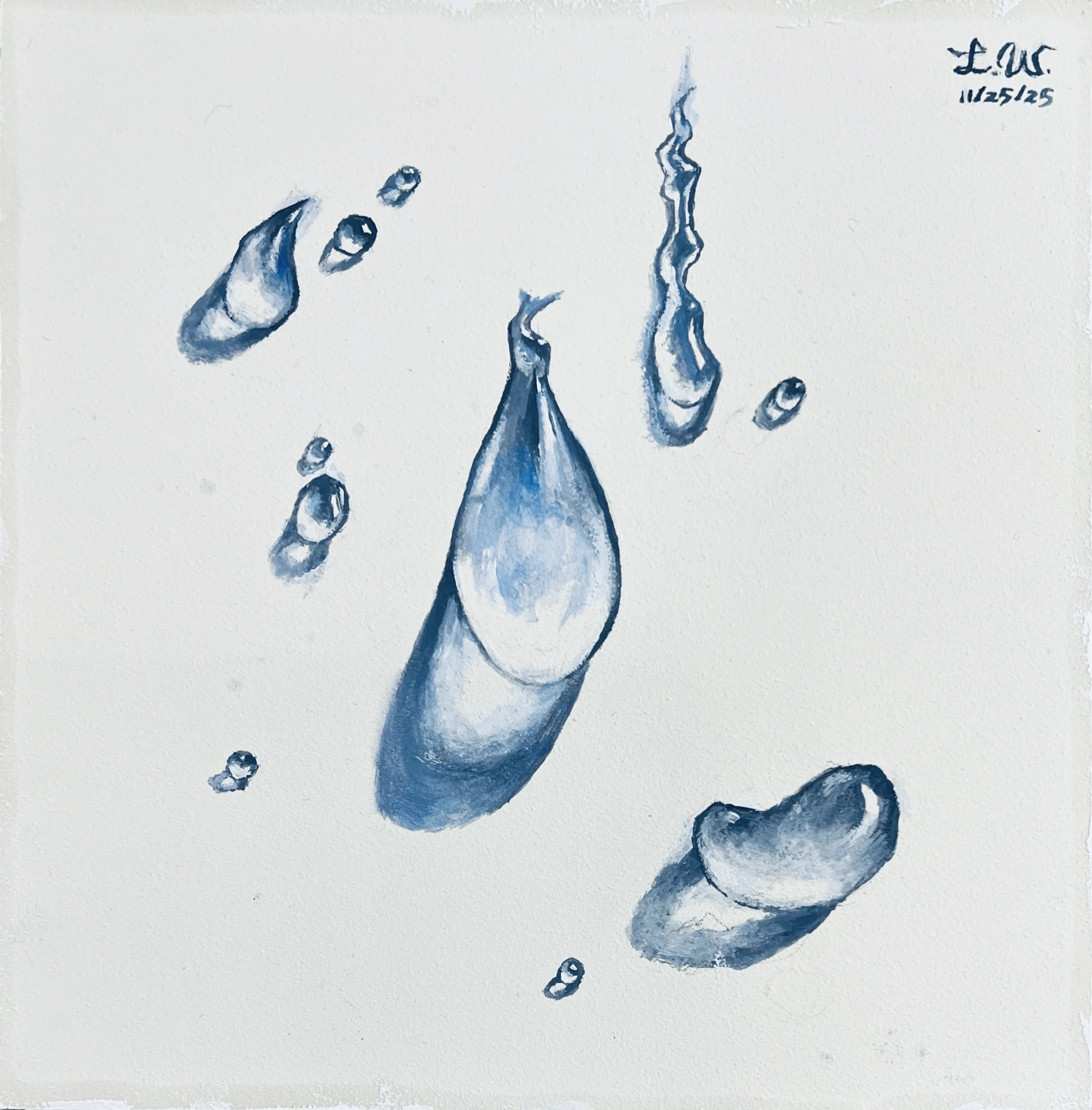 LIN WEI, Water Drops on White, oil on wood panel, size: 8"x8", 2025.  SOLD, 2026