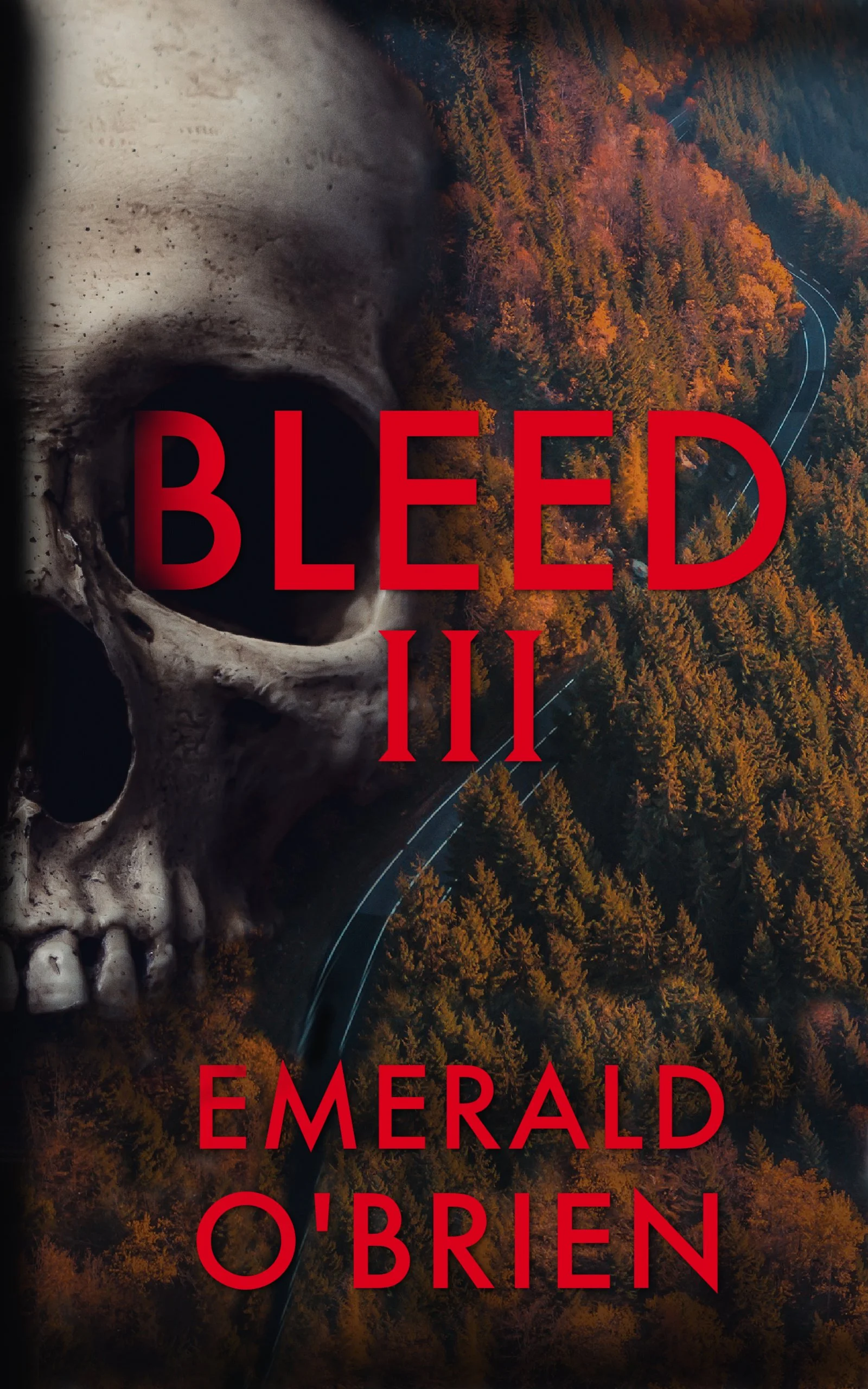 Bleed 3 Cover Final November.jpg