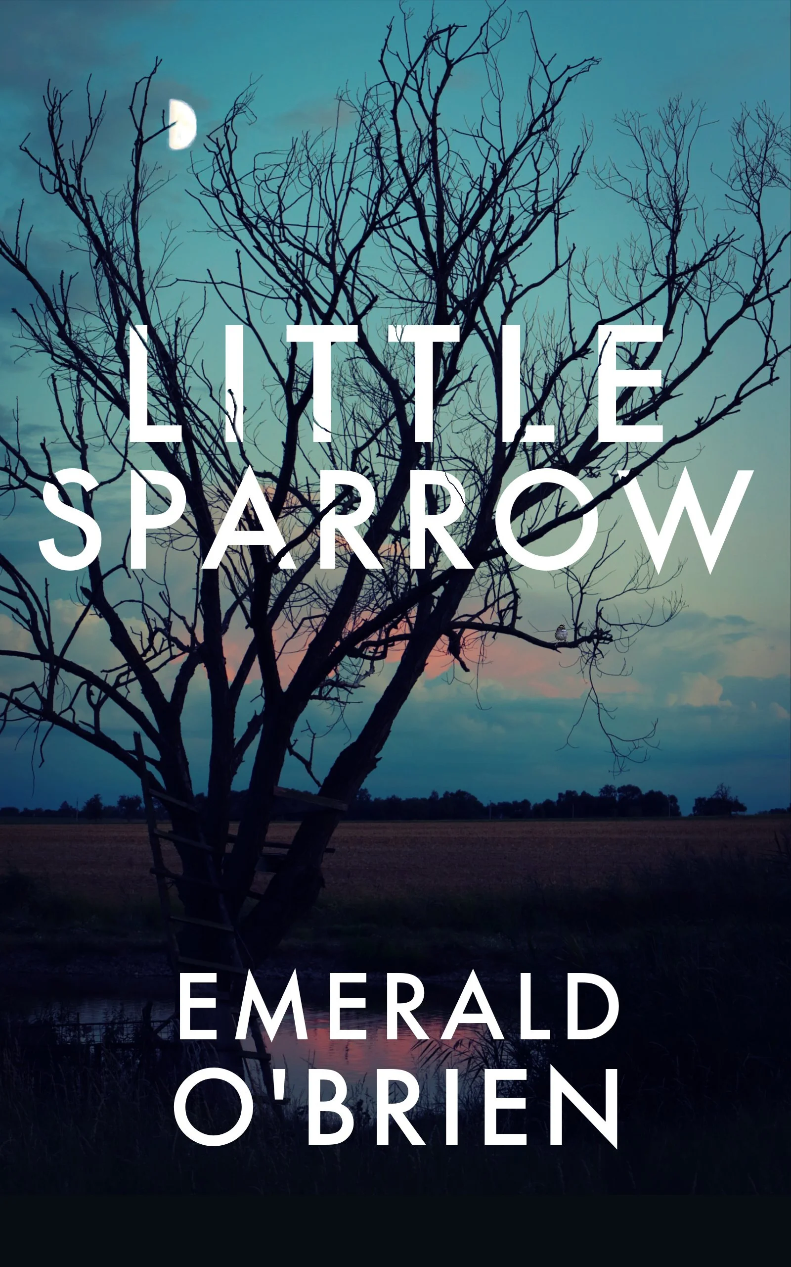 Little Sparrow Cover 2 Final (1).jpg