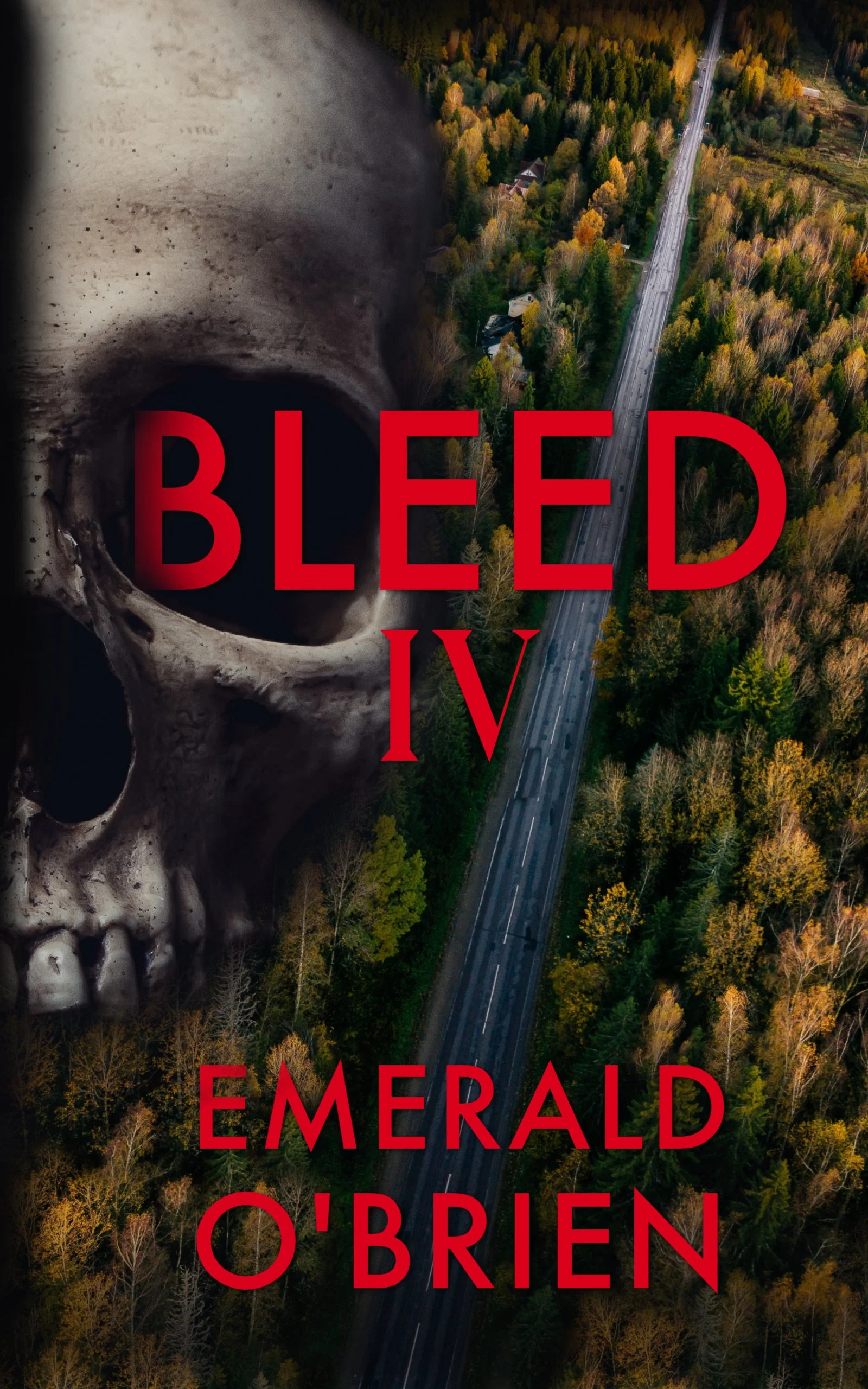 Bleed 4 Cover Final.jpg