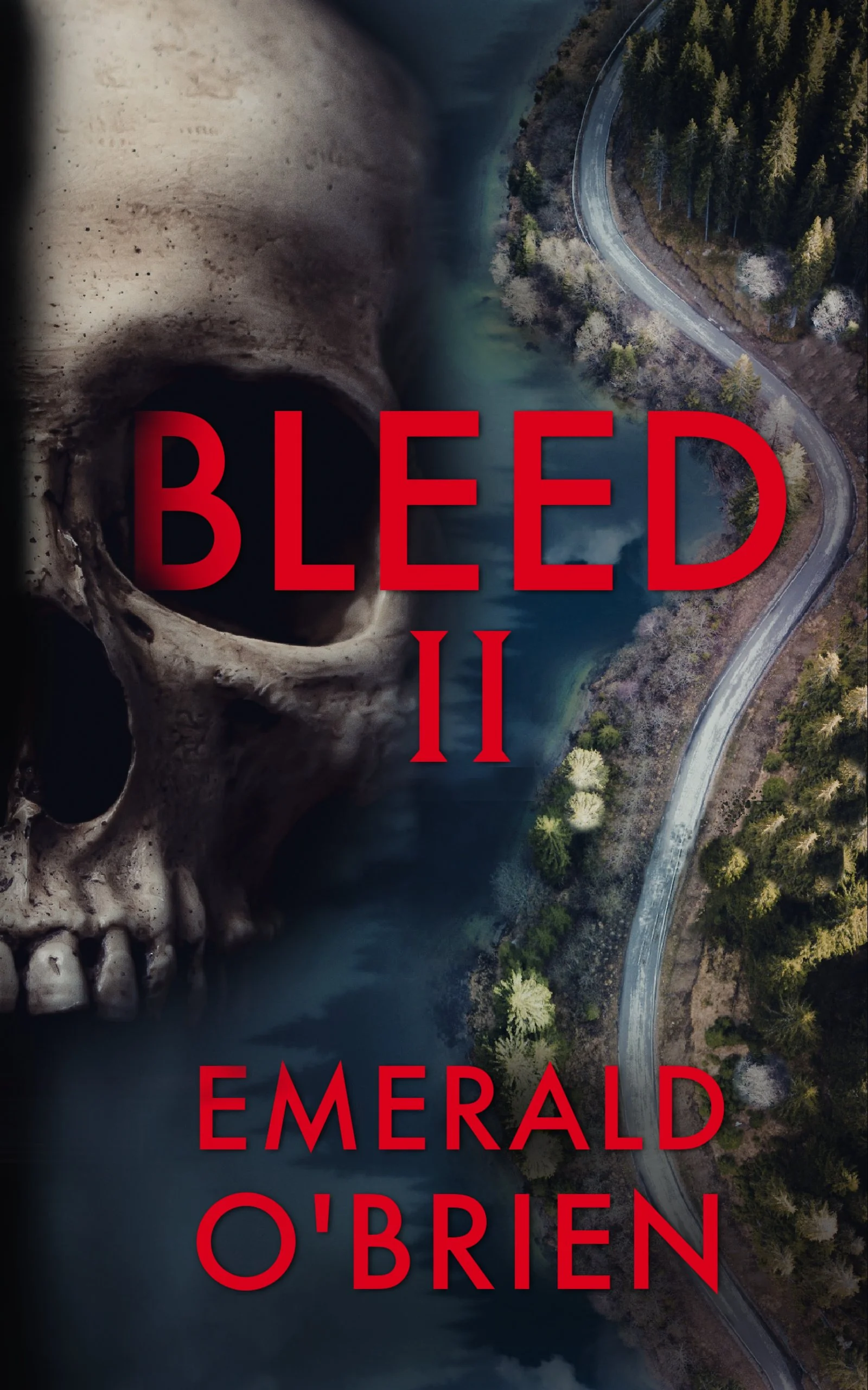 Bleed 2 Cover Final August FINAL (1).jpg