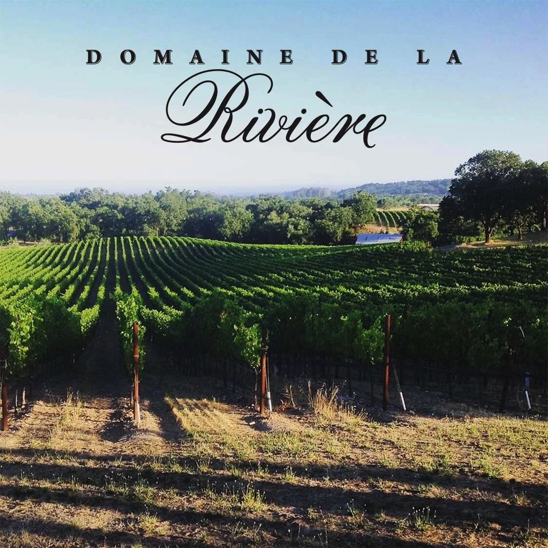 Domaine de la Rivière — Grand Cru A Winery Collective
