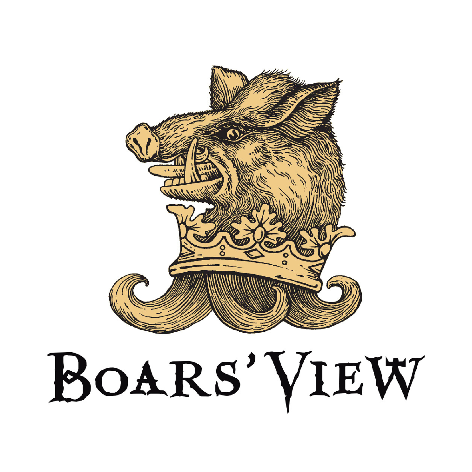 Boars View logo square.png