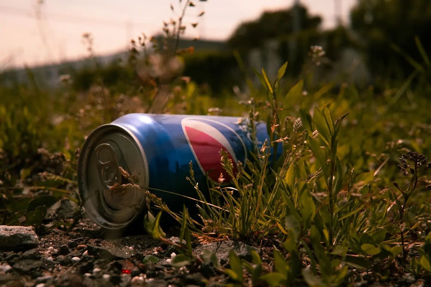 Do you know what's my most random collection of pictures is? Pictures of trash I see while walking 😄. 
.
.
#explorerjourney #stilllife