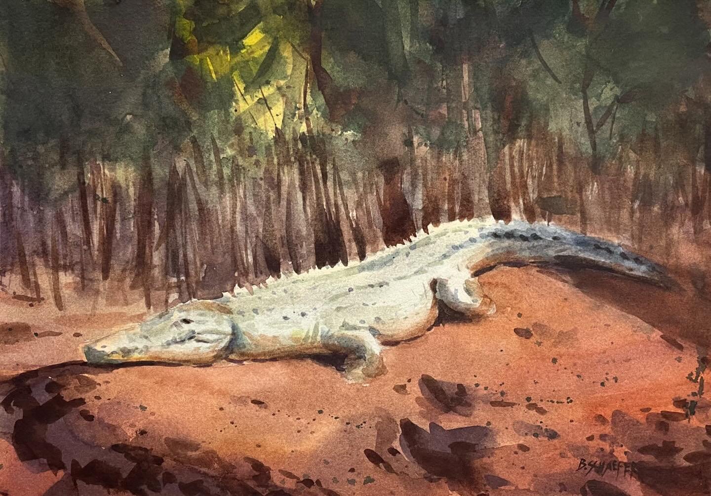 I painted this alligator a few years ago during a livestream on my YouTube channel. Had a lot of fun with this one. Not my usual subject but a good challenge. 

Usually when I choose subjects, I just go with my gut and what I&rsquo;m interested in. M