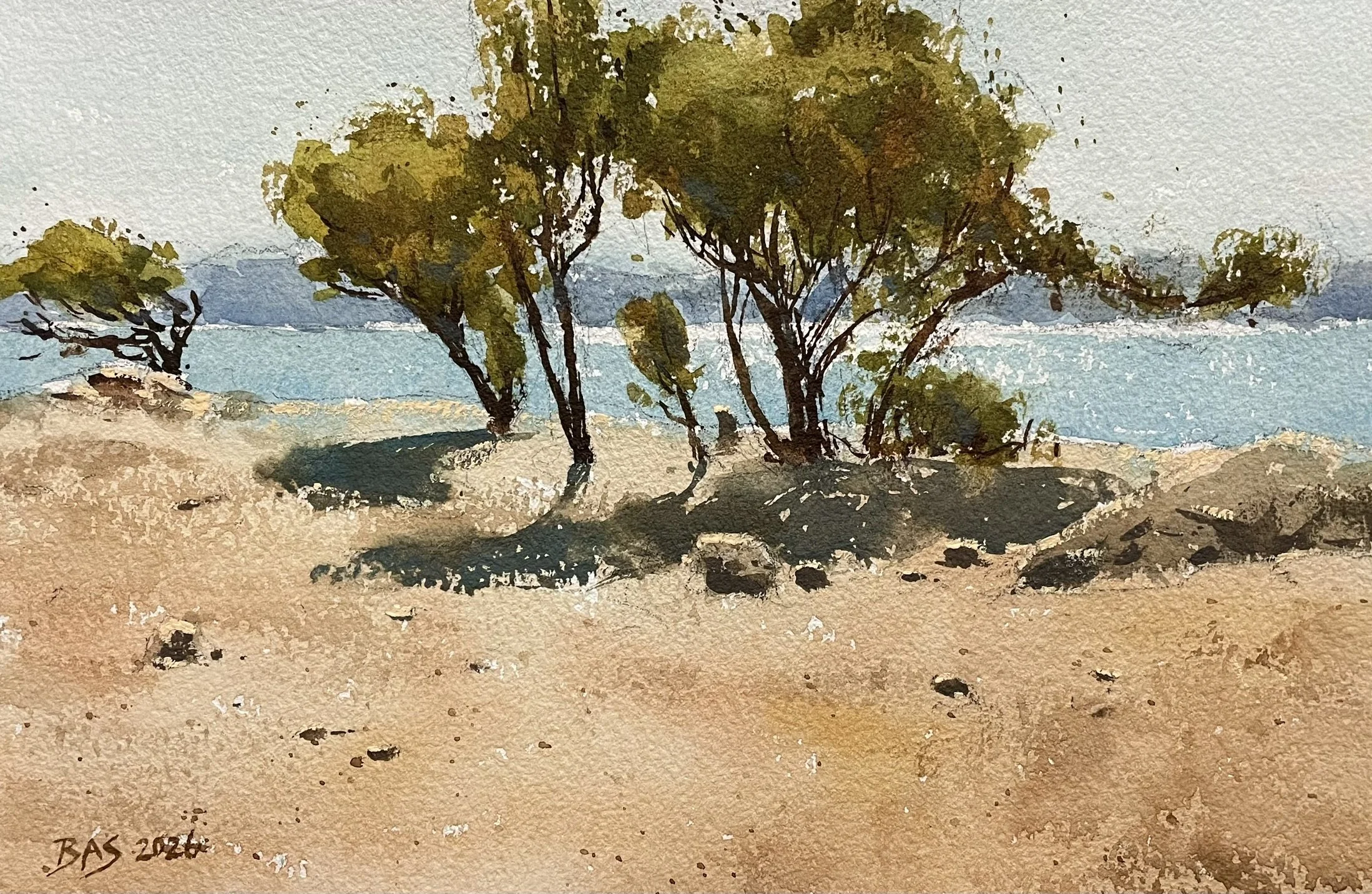 Watercolor painting of a beach scene with sandy shores, several trees with green foliage, rocks, and the ocean in the background under a light sky.