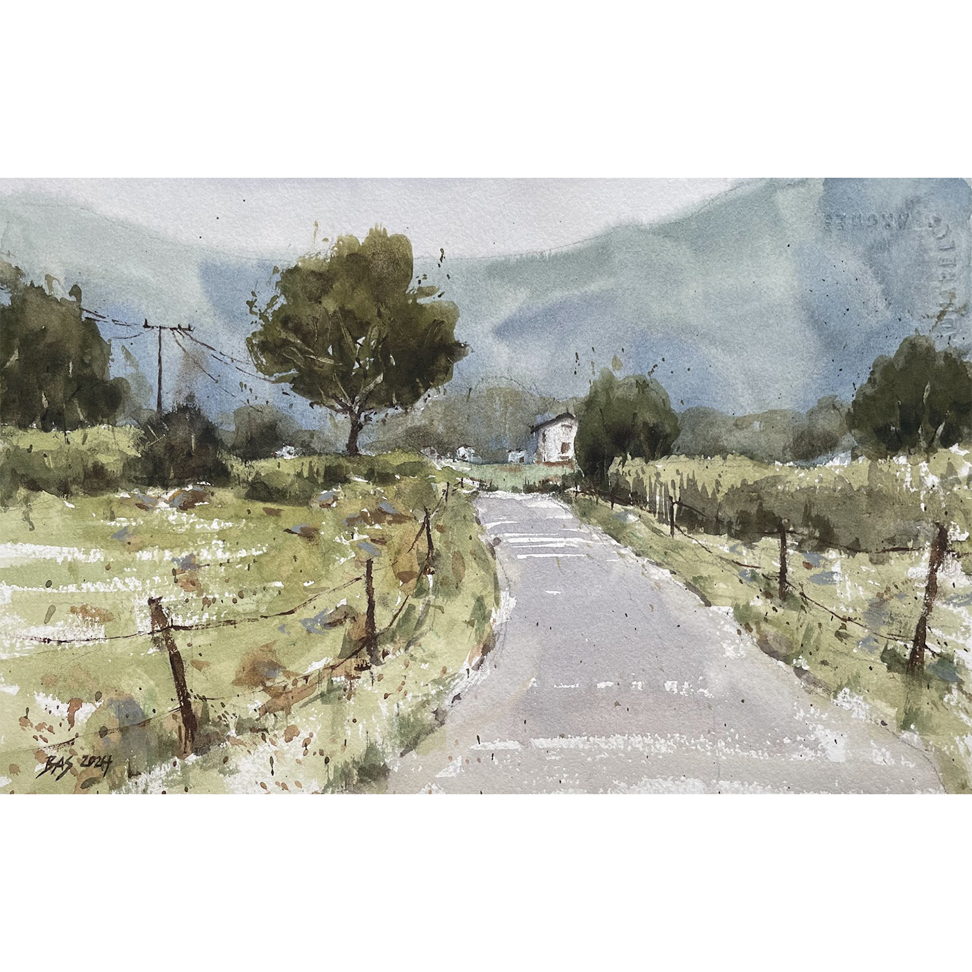 IMG_3711.png