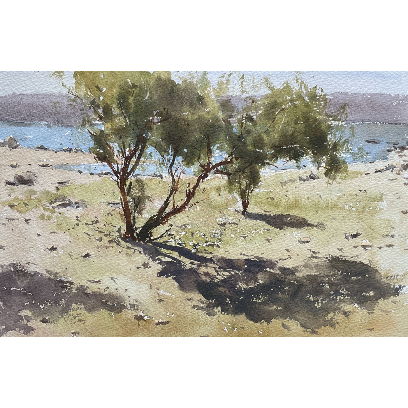IMG_3835.png