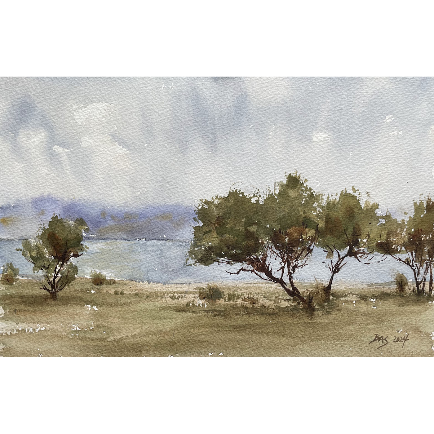 IMG_3796.png