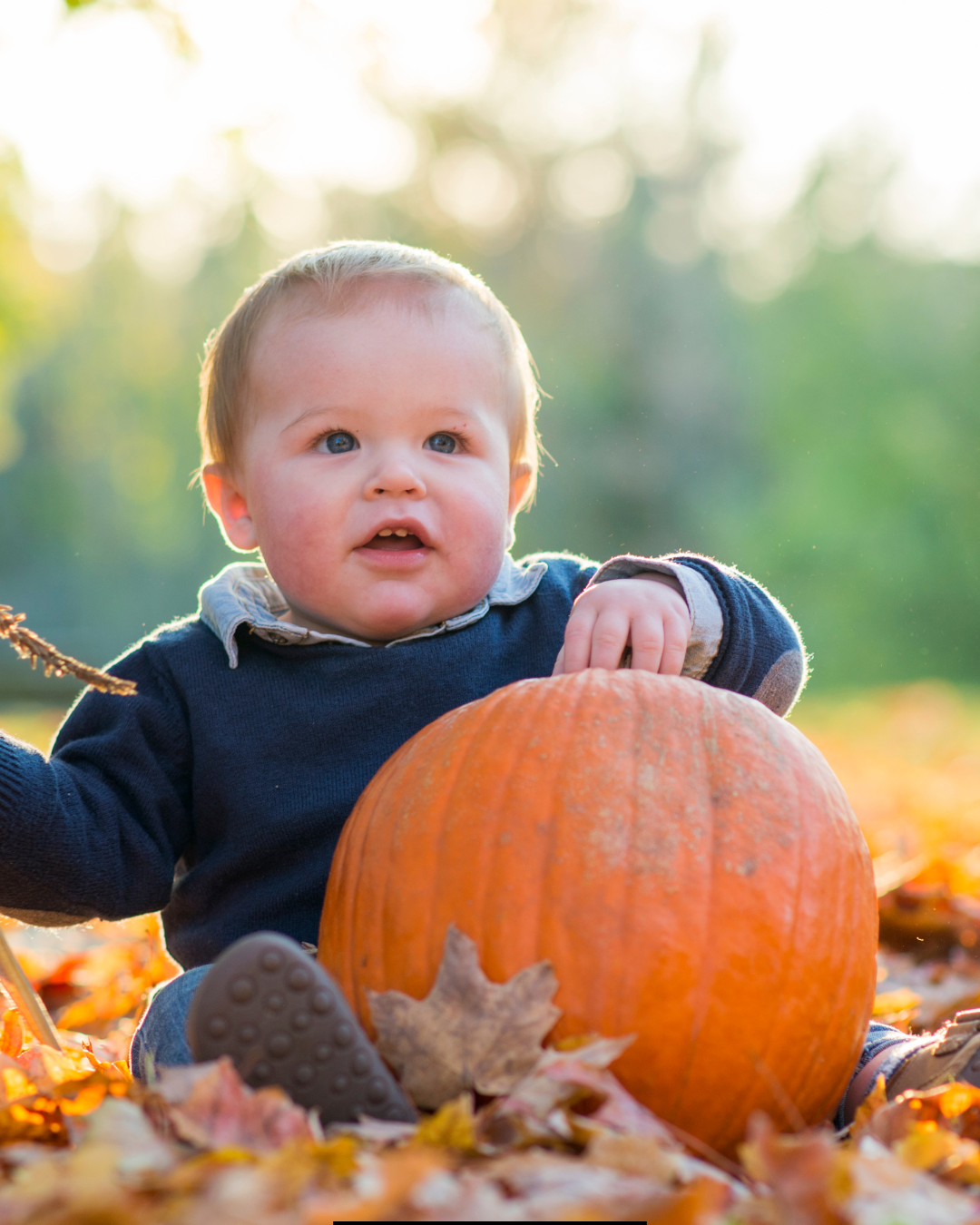 Navigating Thanksgiving Day with a Breastfeeding Infant