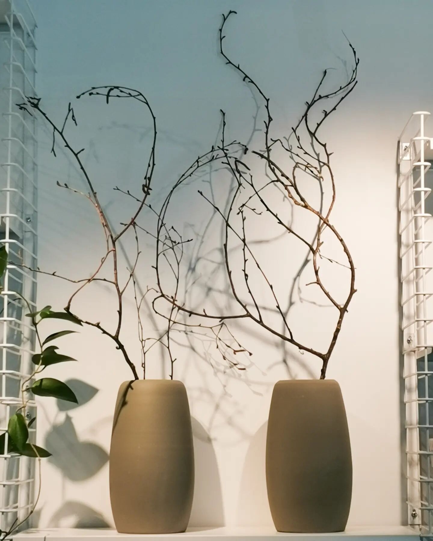 Have you come to meet the team yet? They're super friendly, super talented and love providing you with 🙌🏼 service. So come say hi!