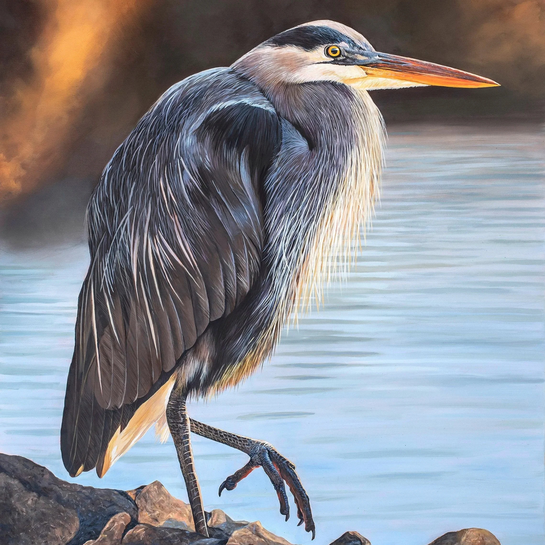 great_blue_heron_2024_web.jpg