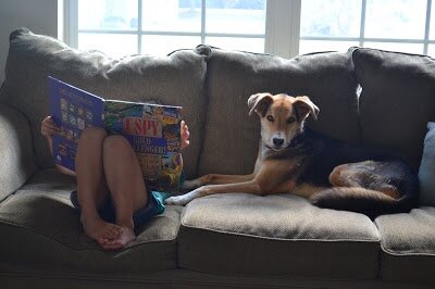 Bring on the Beach. Bring on the Books.