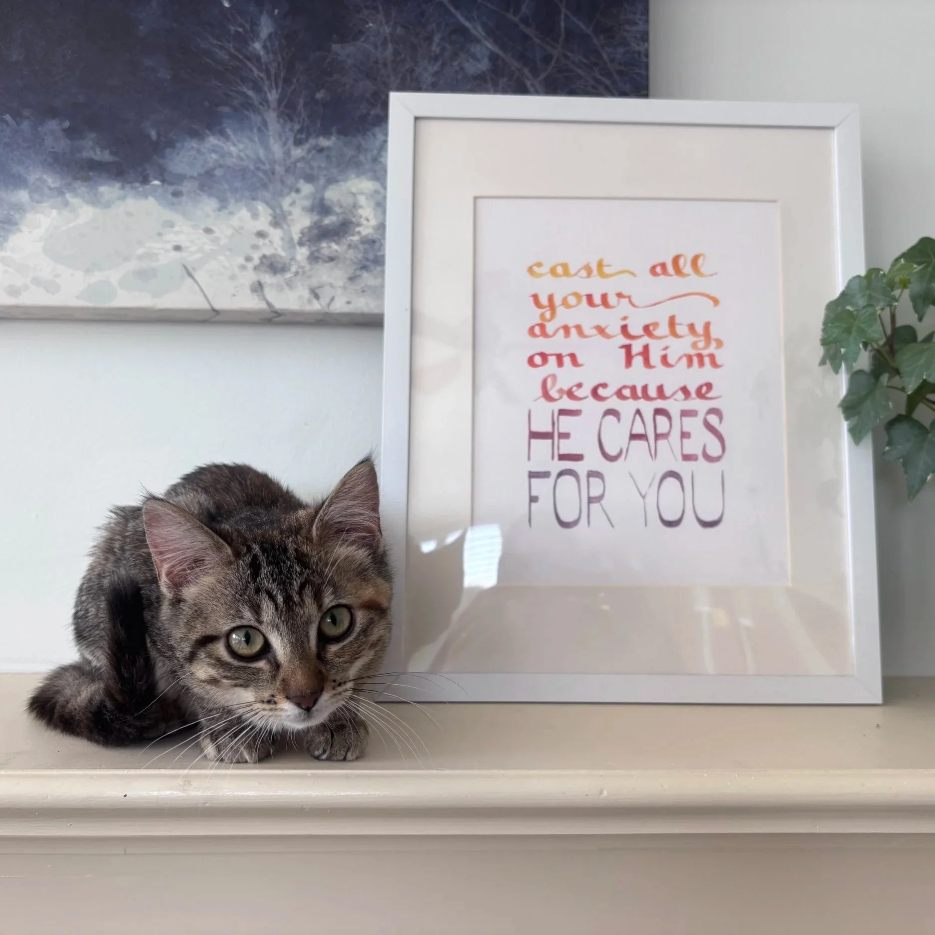 A Spleen, a Flipper, Two Knees, and the Messy Path of Healing