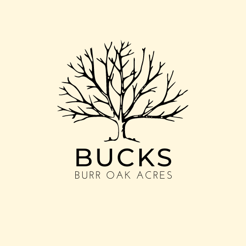 Bucks