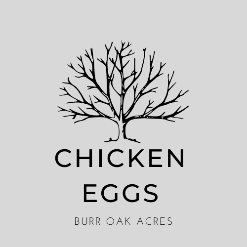 Fresh Burr Oak Farm Chicken Eggs